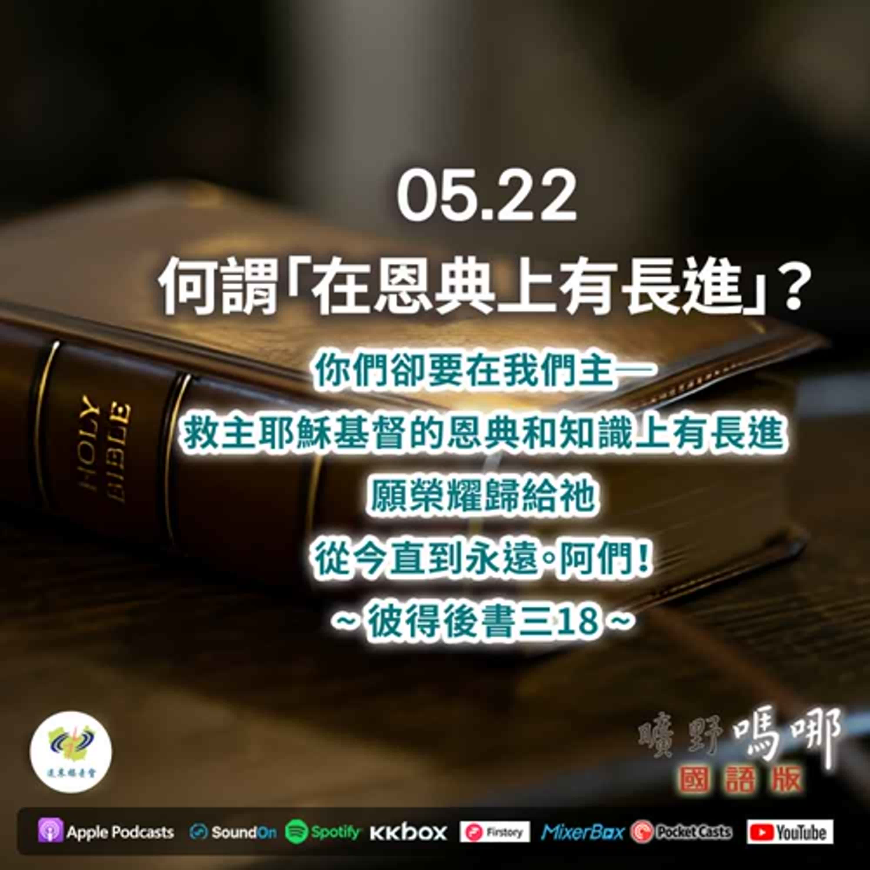 曠野嗎哪-何謂「在恩典上有長進」？ episode artwork
