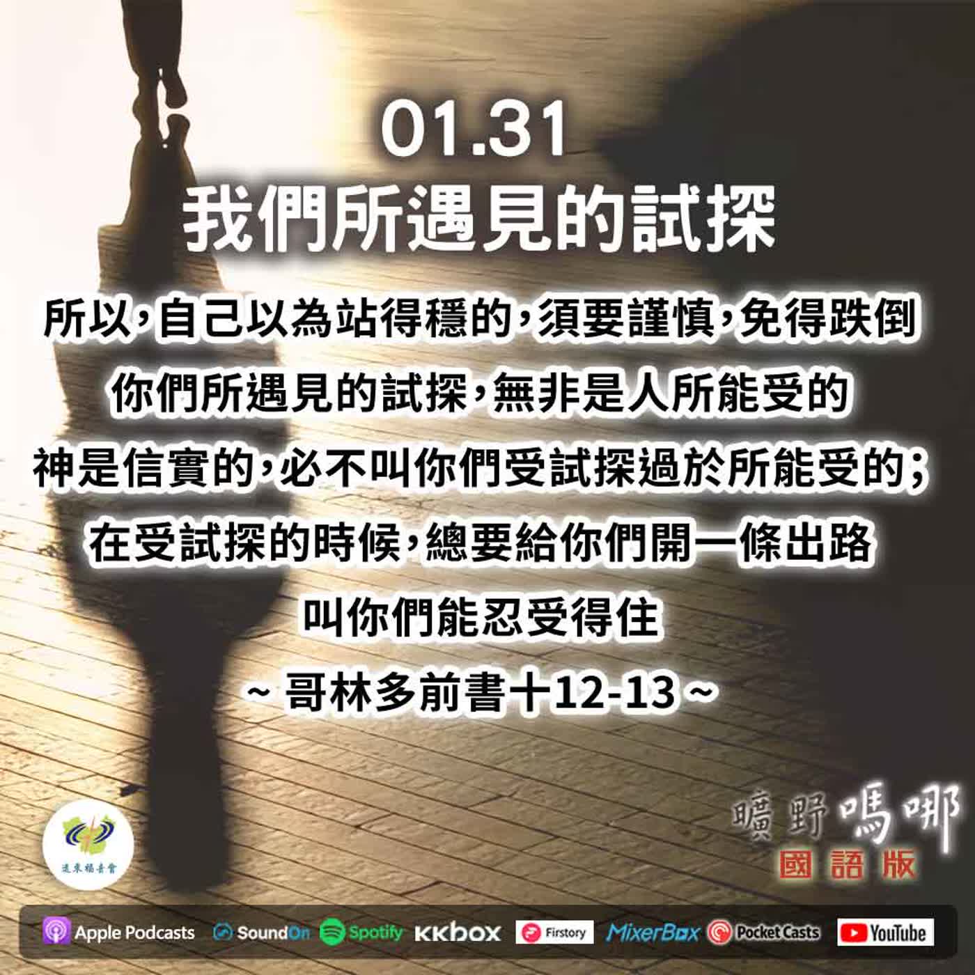 曠野嗎哪-我們所遇見的試探 episode artwork