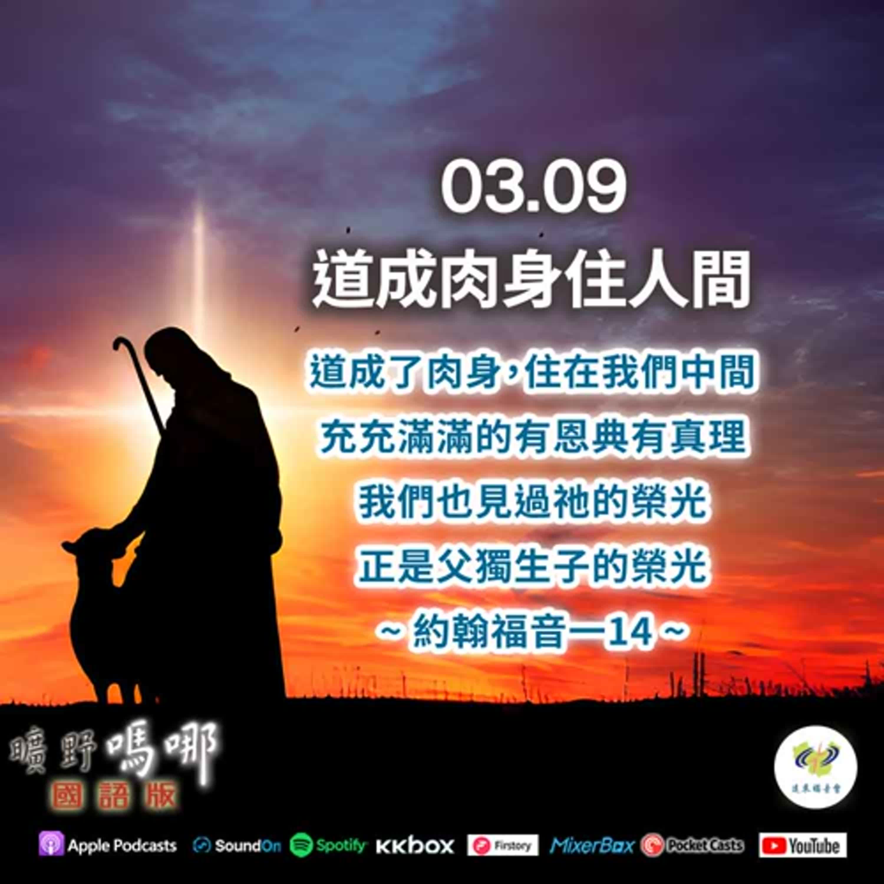 曠野嗎哪-道成肉身住人間 episode artwork