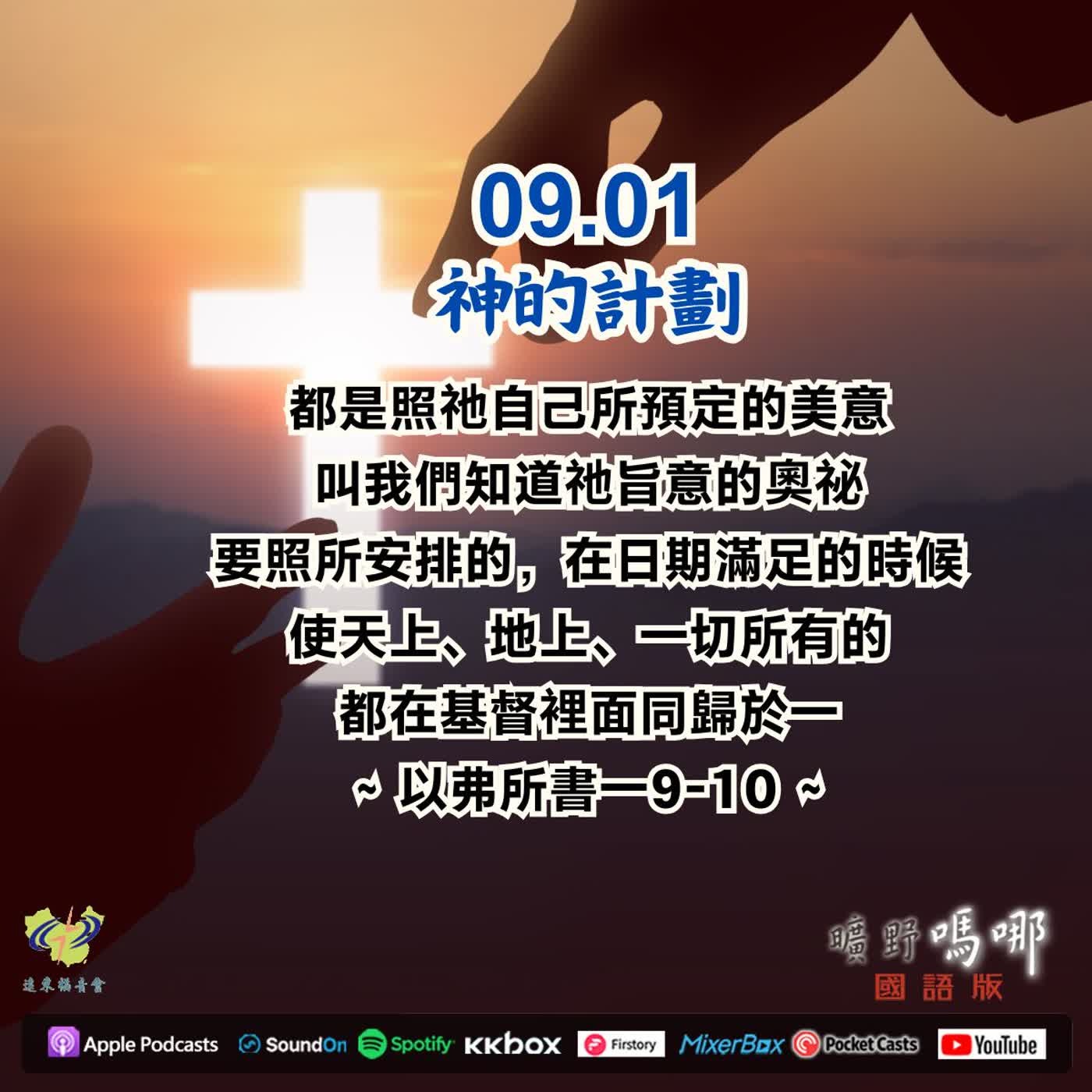 神的計劃 episode artwork