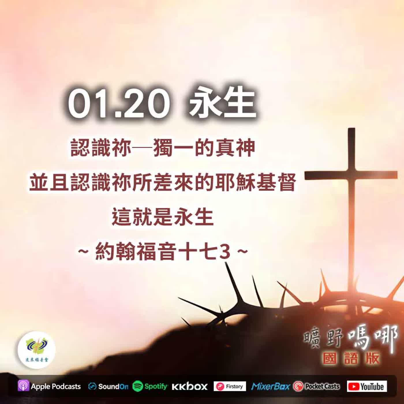 曠野嗎哪-永生 曠野嗎哪-永生