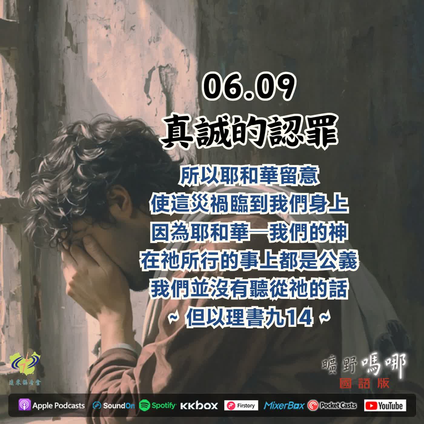曠野嗎哪-真誠的認罪 episode artwork
