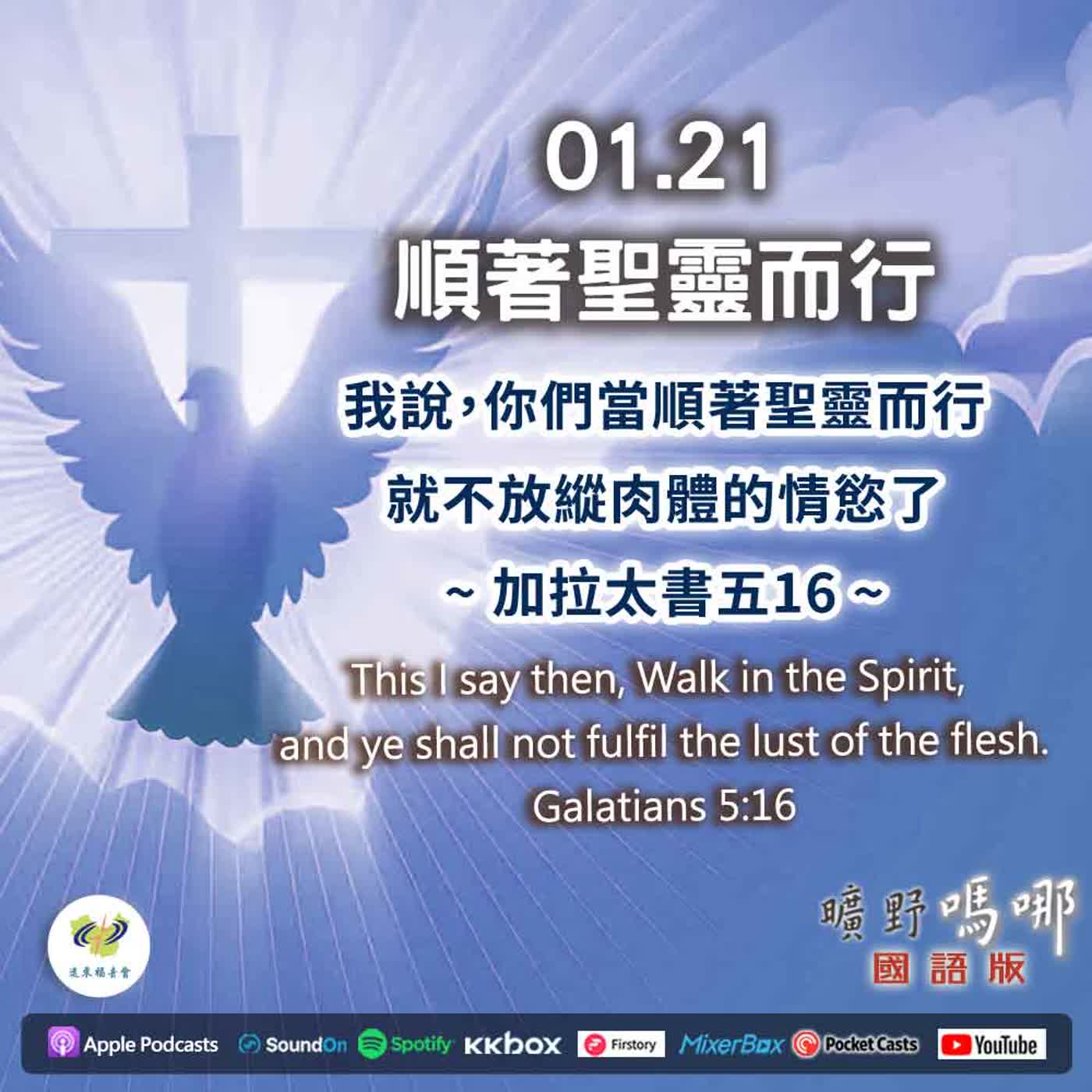 曠野嗎哪-順著聖靈而行 曠野嗎哪-順著聖靈而行