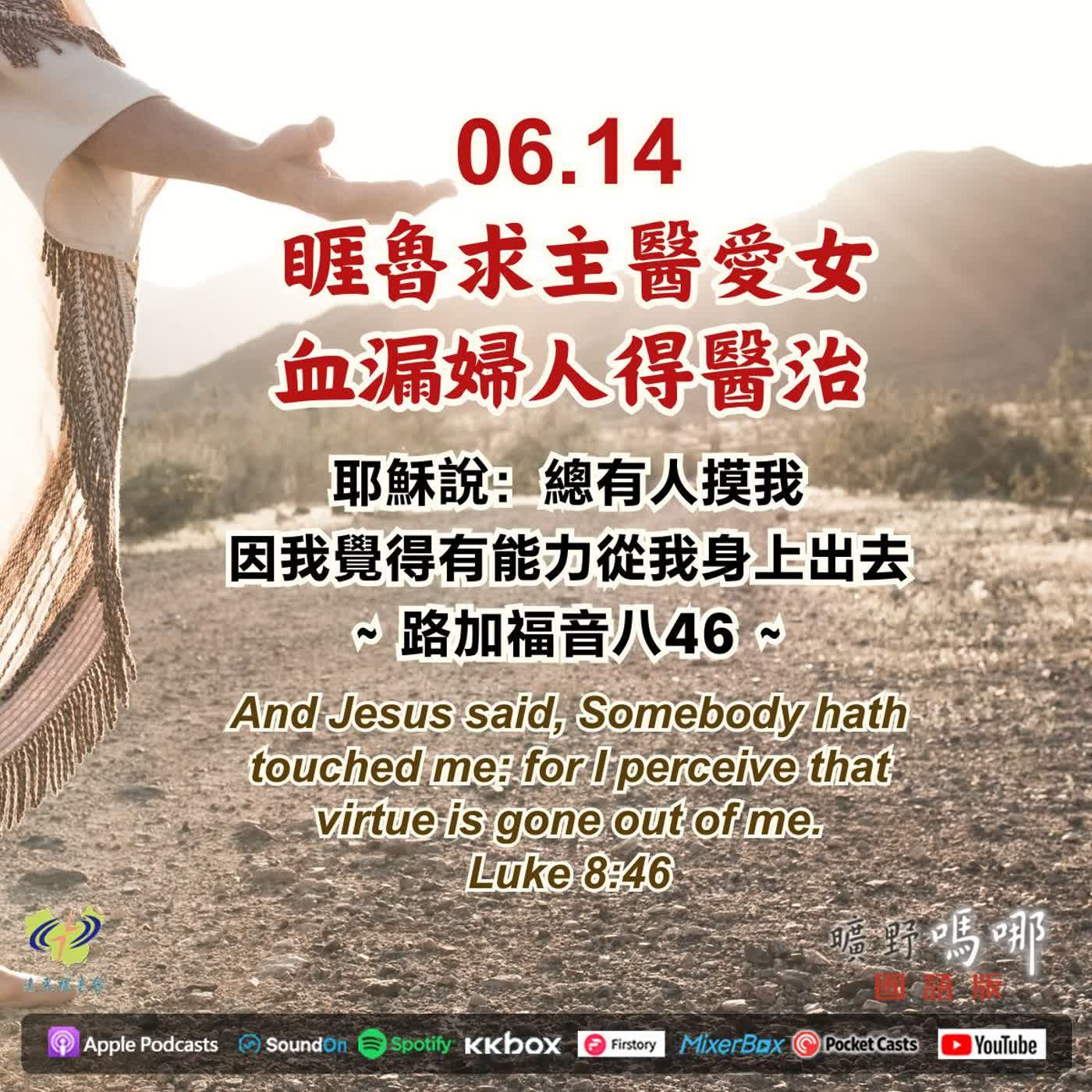 曠野嗎哪-睚魯求主醫愛女，血漏婦人得醫治 episode artwork