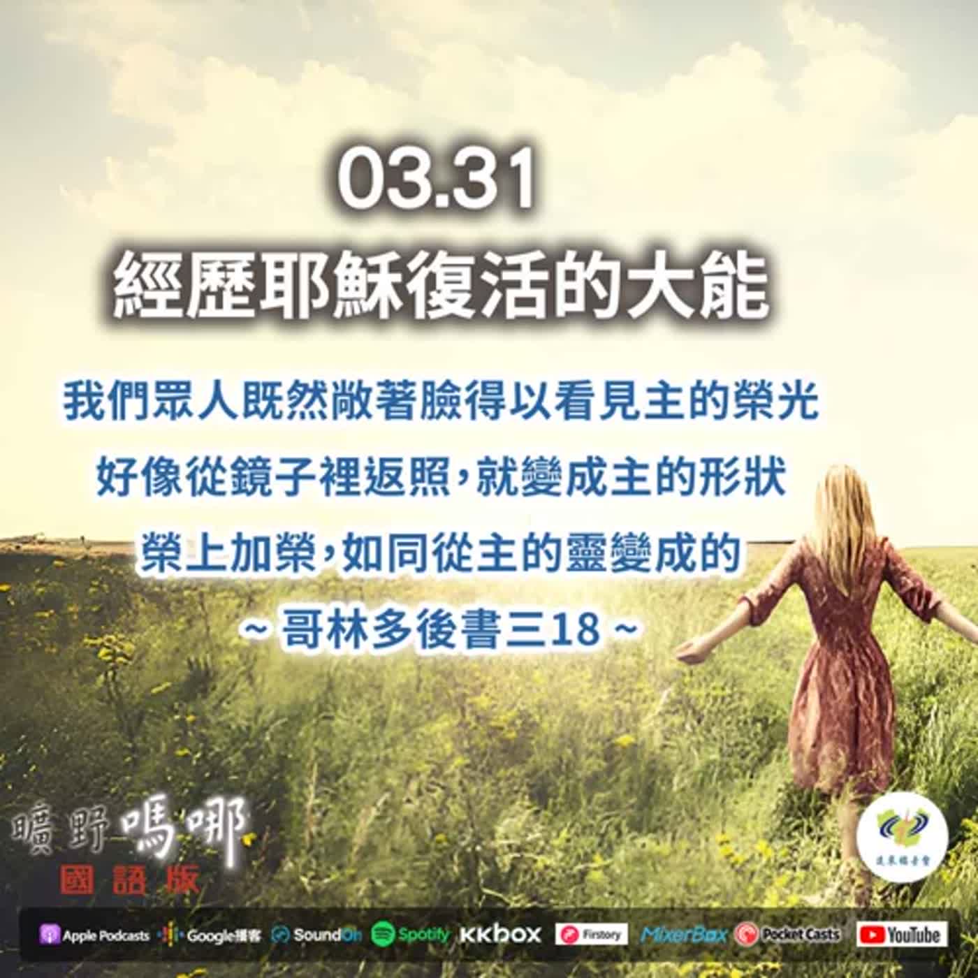 曠野嗎哪-經歷耶穌復活的大能 episode artwork