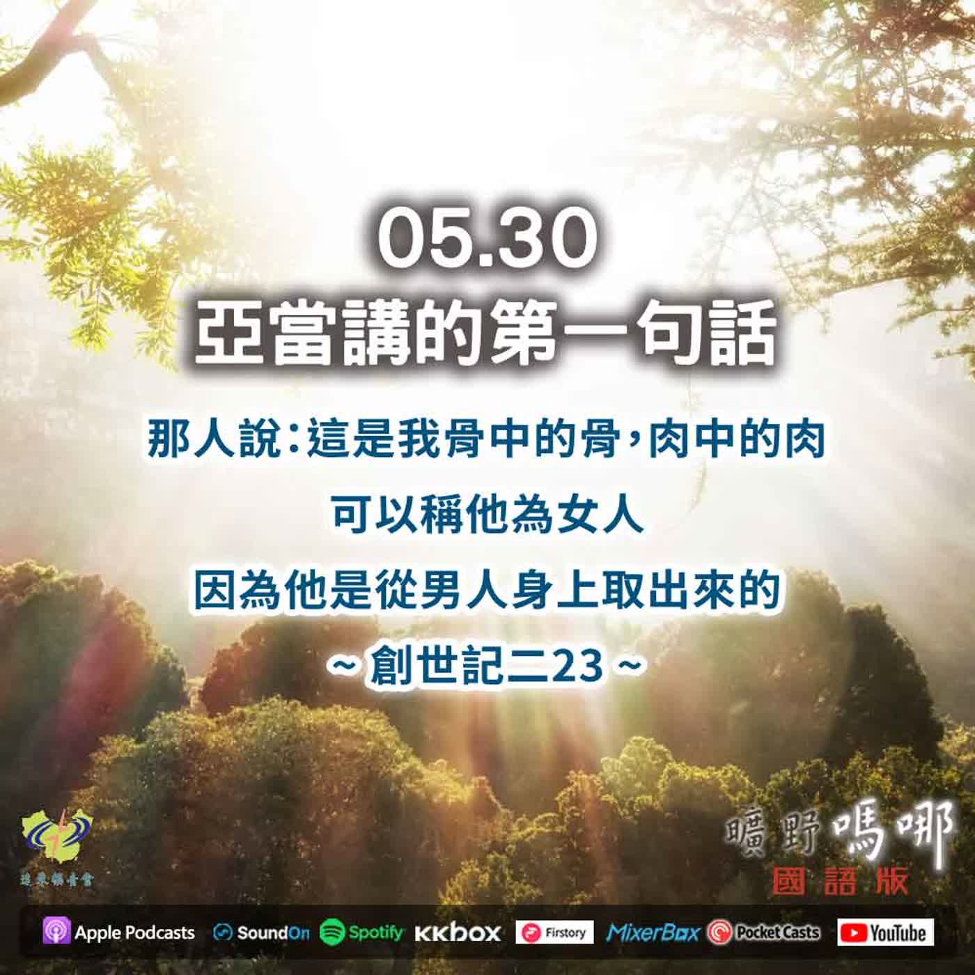 曠野嗎哪-亞當講的第一句話 episode artwork