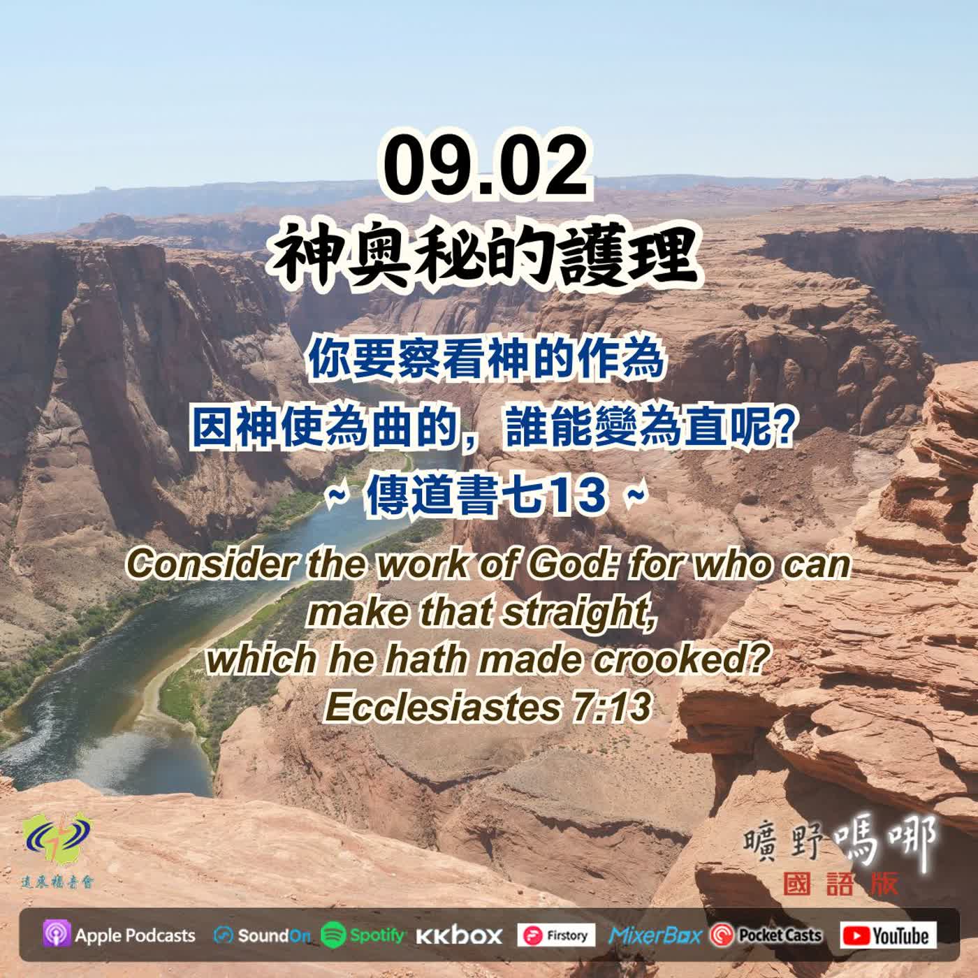 神奧秘的護理 episode artwork