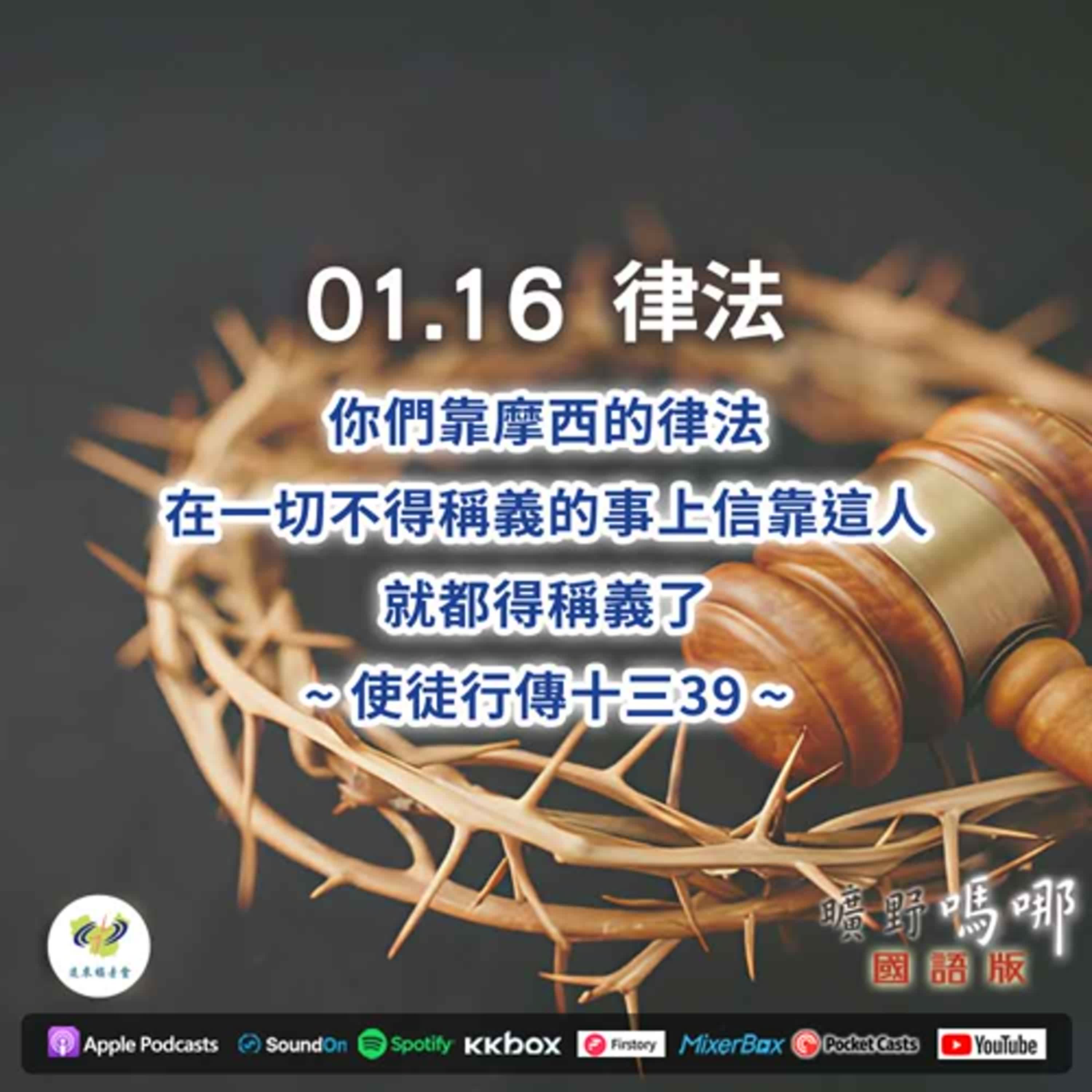 曠野嗎哪-律法 曠野嗎哪-律法