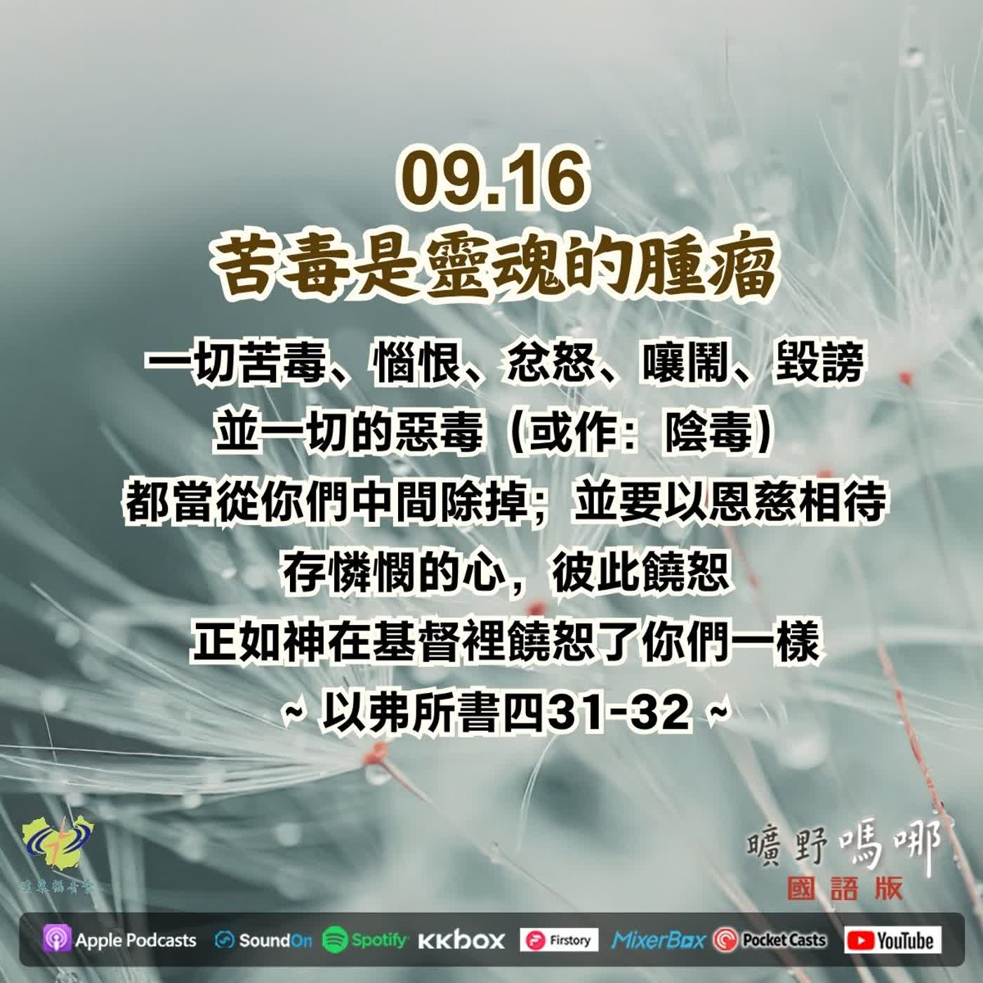 苦毒是靈魂的腫瘤