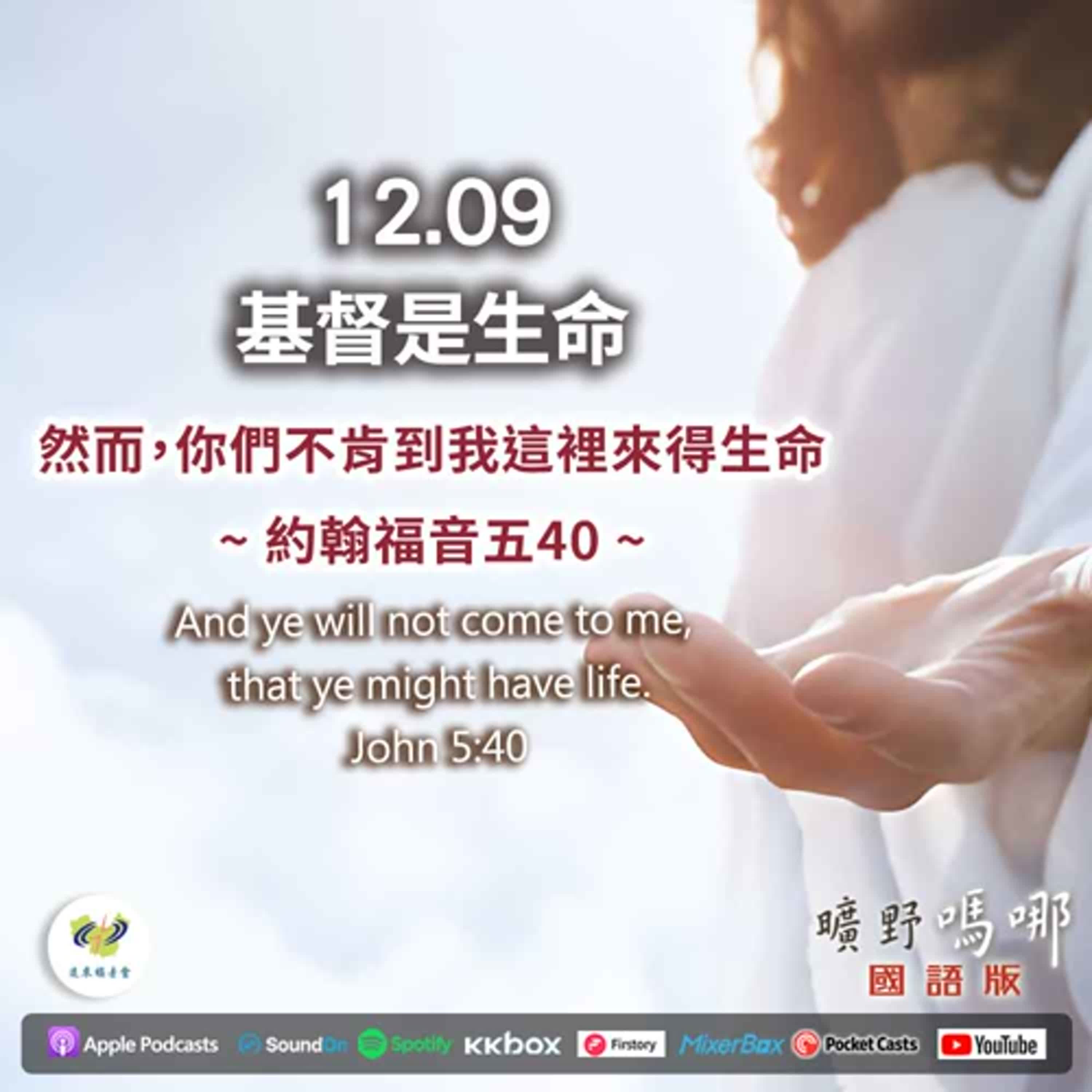 曠野嗎哪-基督是生命 曠野嗎哪-基督是生命