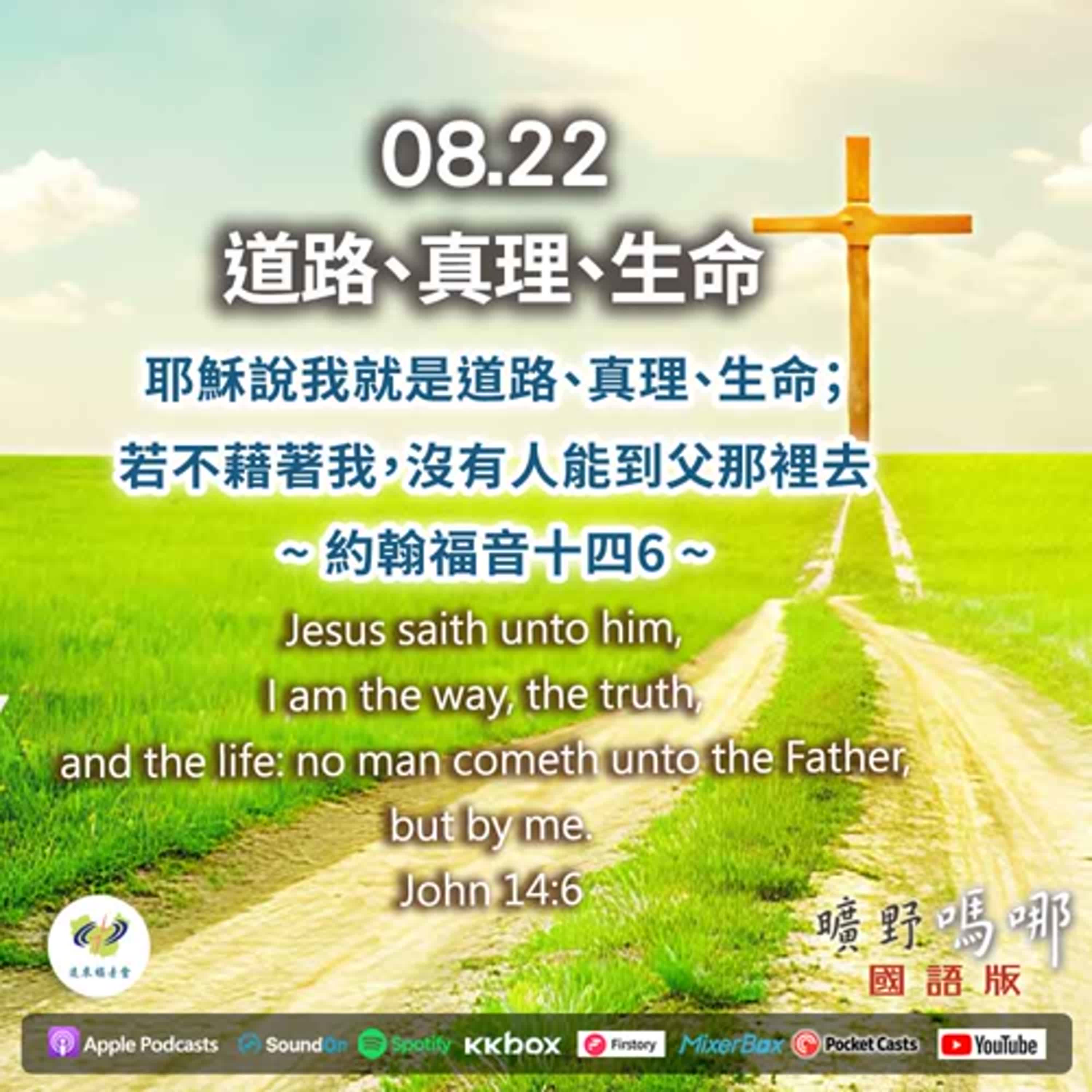 曠野嗎哪-道路、真理、生命 episode artwork