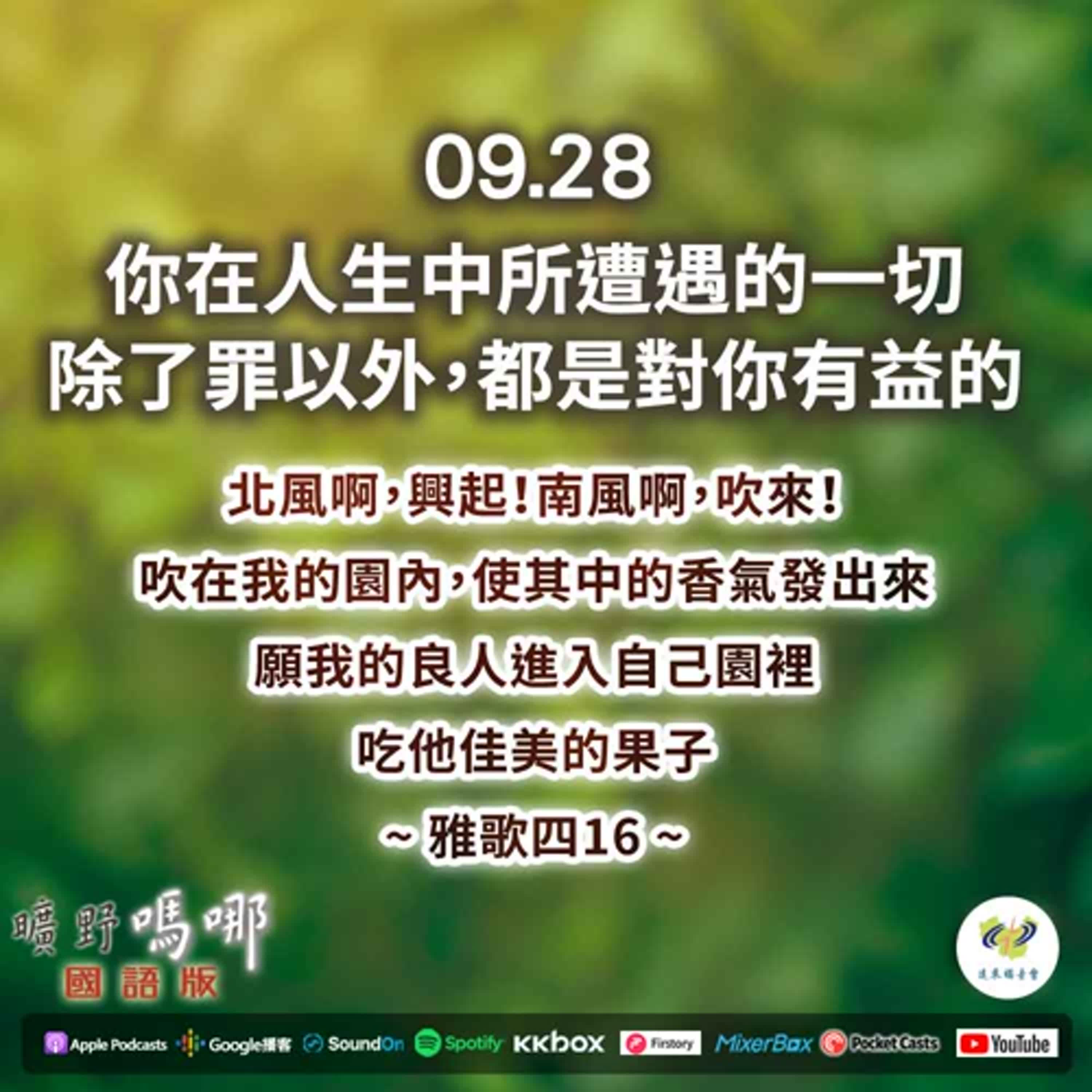 曠野嗎哪-你在人生中所遭遇的一切，除了罪以外，都是對你有益的 episode artwork