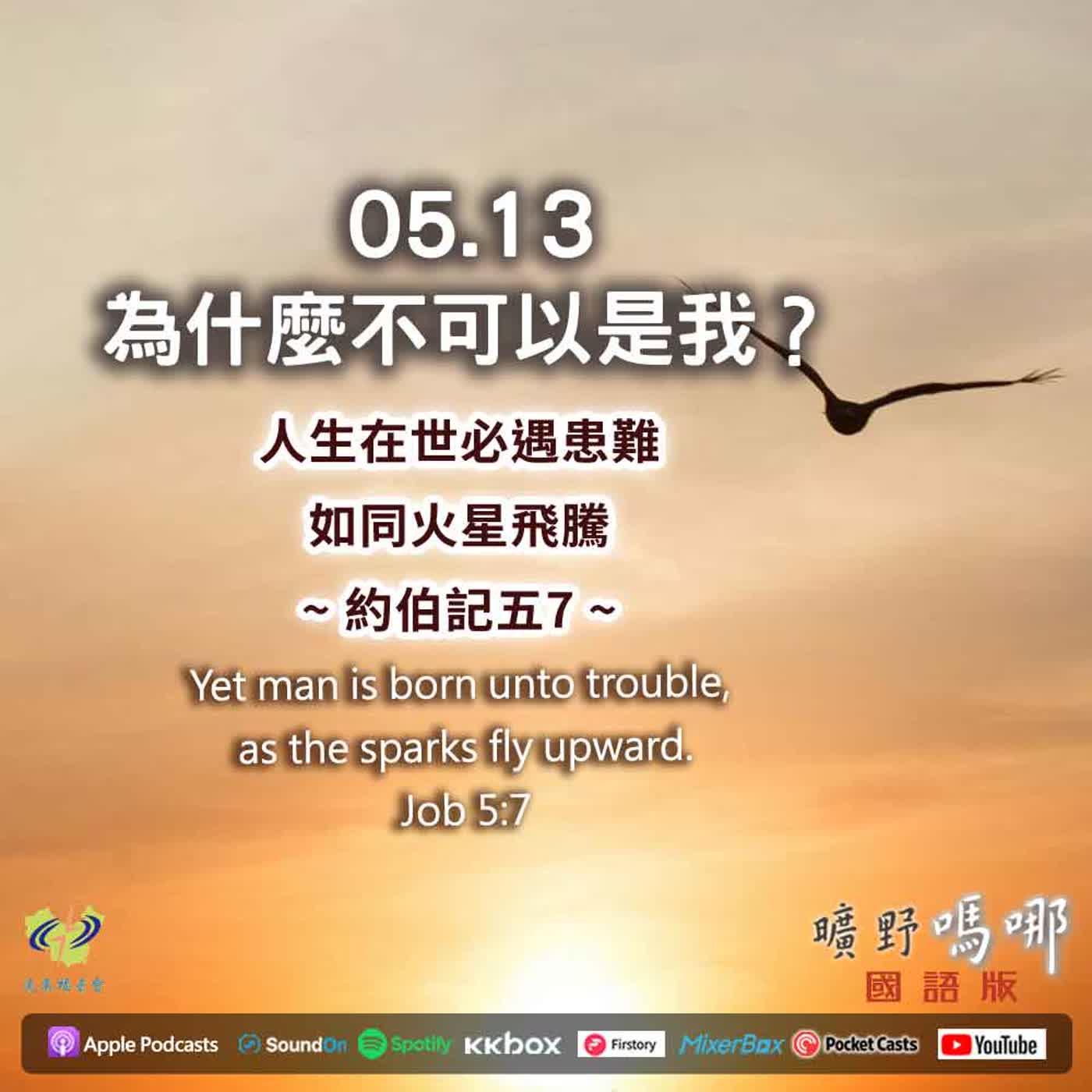 曠野嗎哪-為什麼不可以是我？ episode artwork