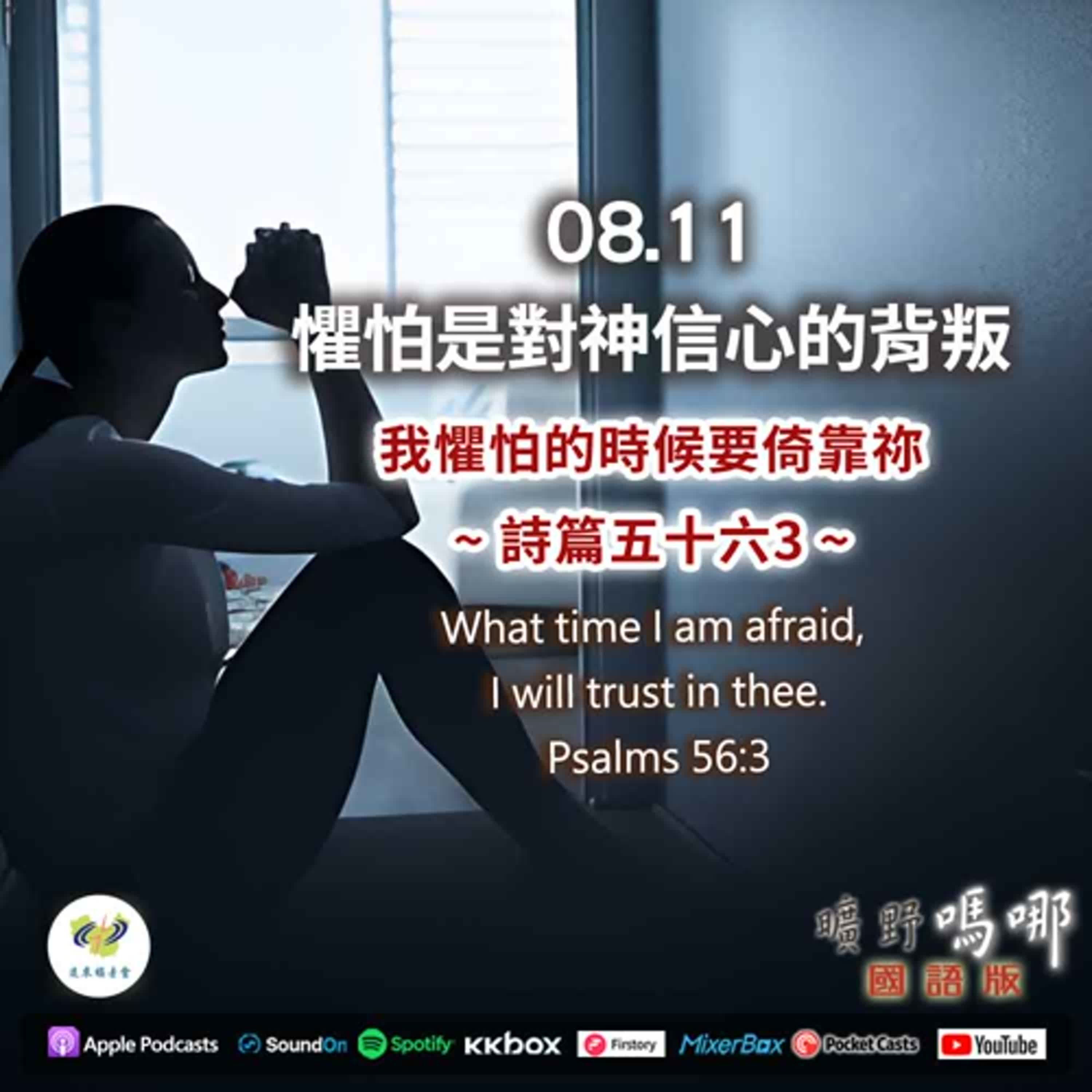 曠野嗎哪-懼怕是對神信心的背叛 episode artwork