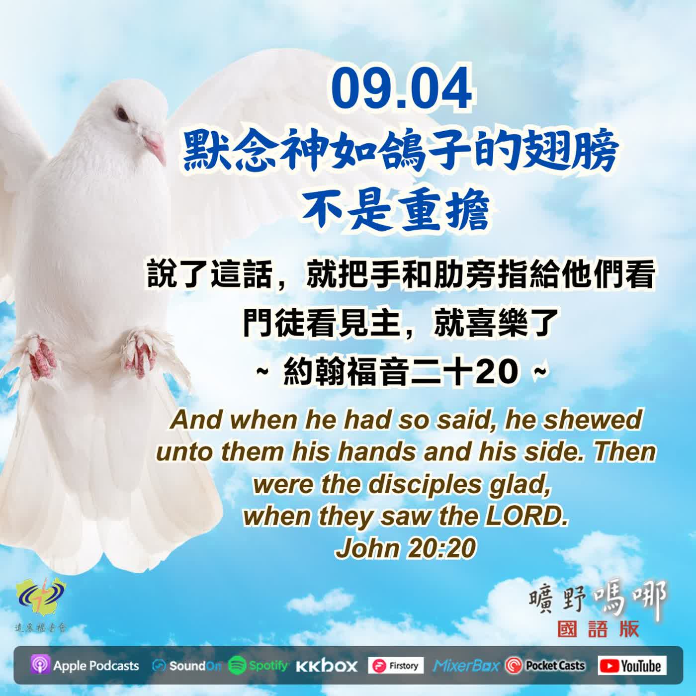 默念神如鴿子的翅膀不是重擔 episode artwork