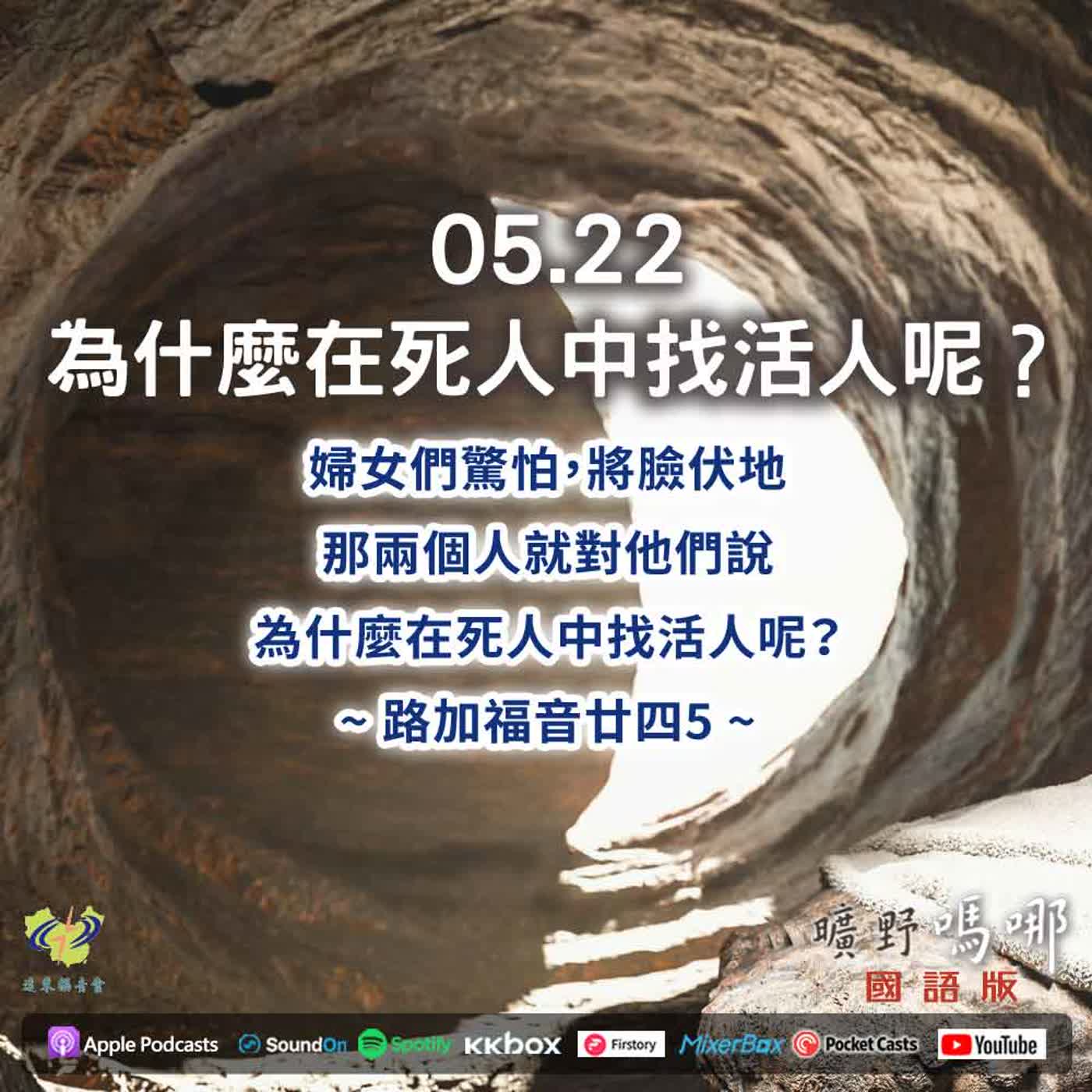 曠野嗎哪-為什麼在死人中找活人呢？ episode artwork