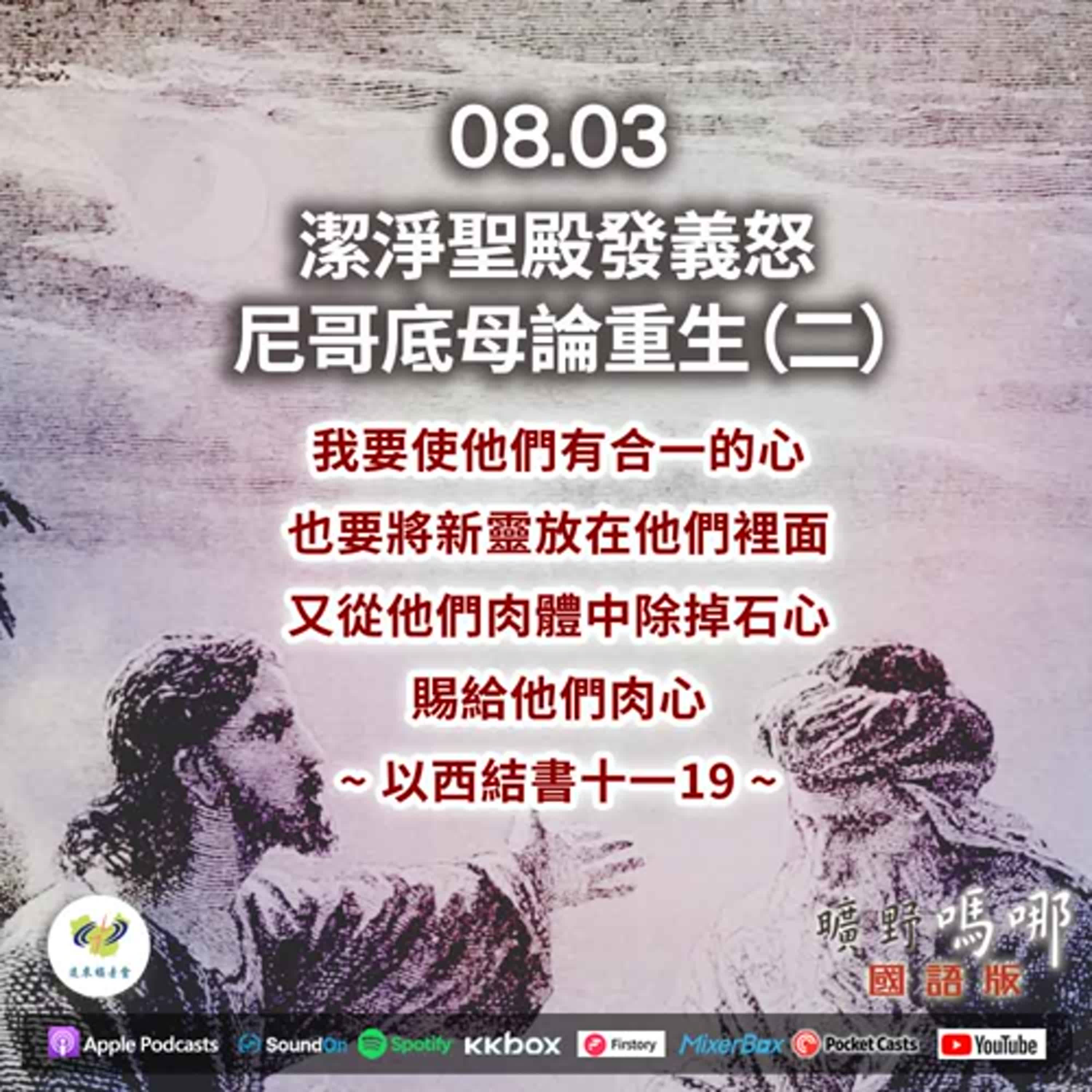 曠野嗎哪-潔淨聖殿發義怒，尼哥底母論重生-2 episode artwork