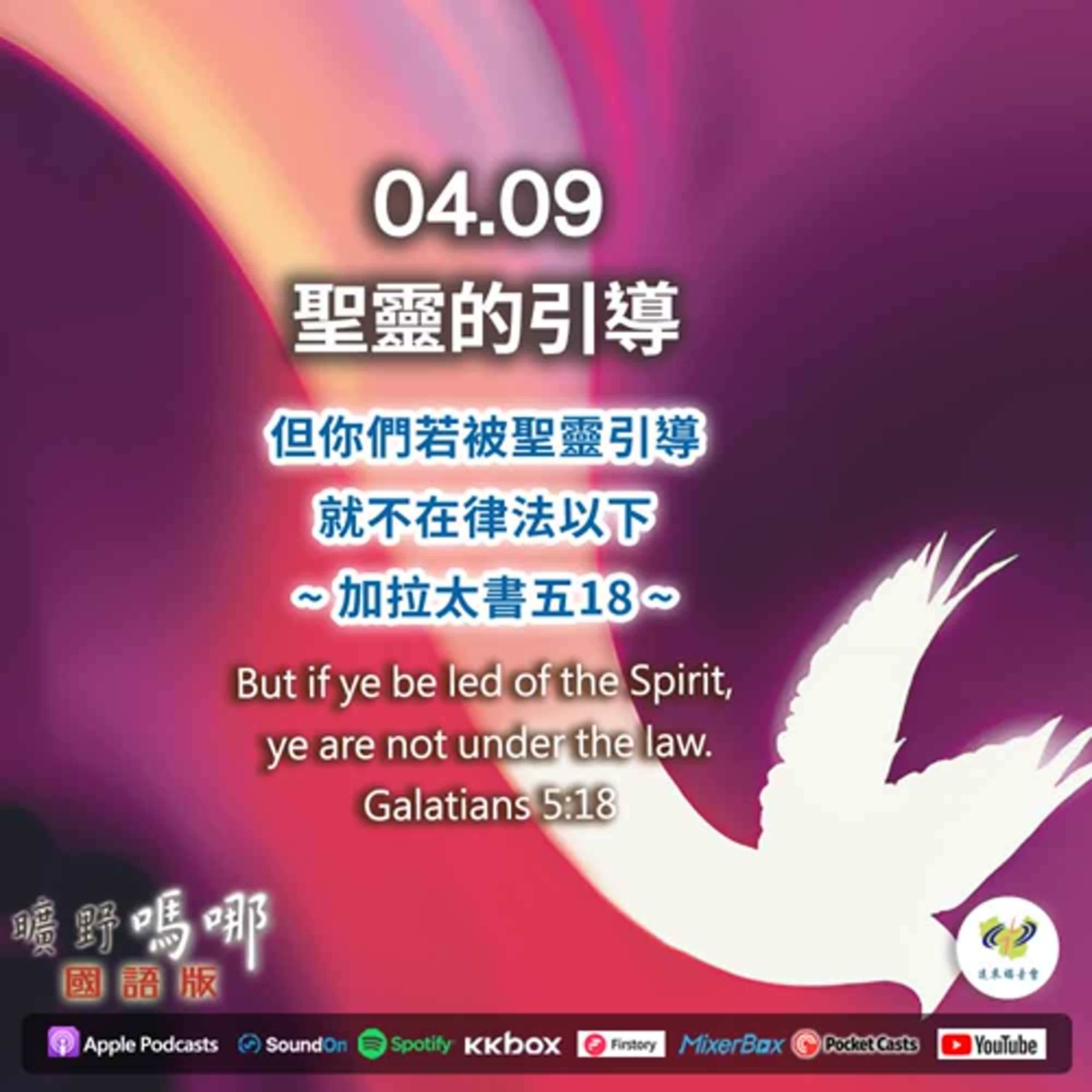 曠野嗎哪-聖靈的引導 episode artwork