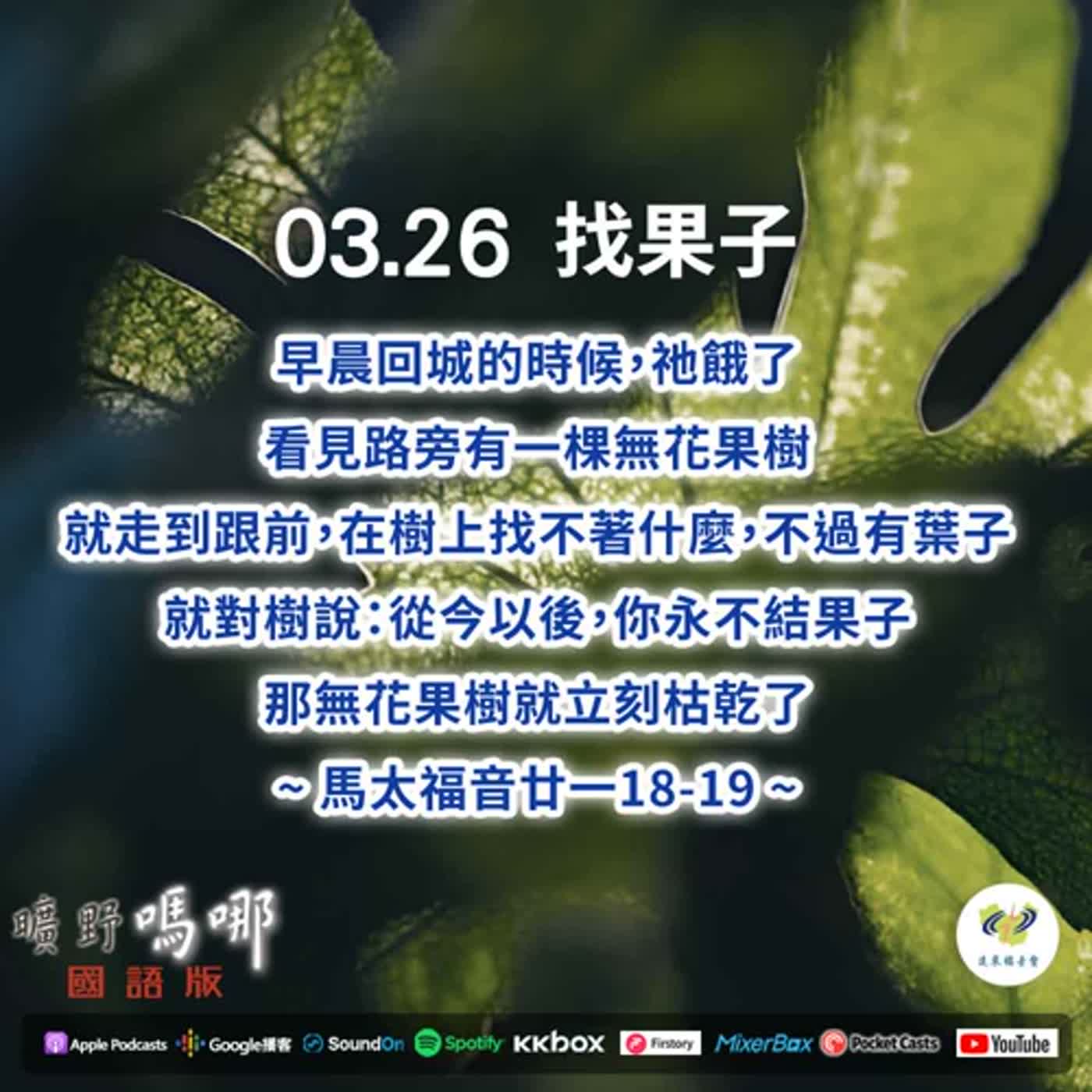 曠野嗎哪-找果子 episode artwork