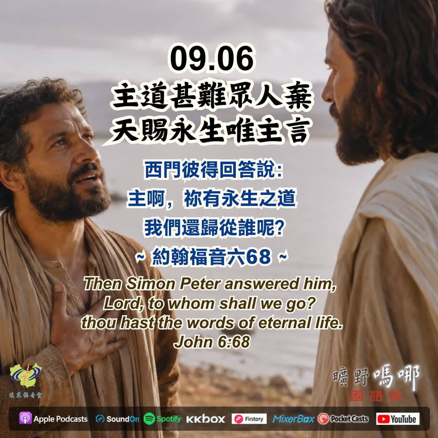 主道甚難眾人棄，天賜永生唯主言 episode artwork