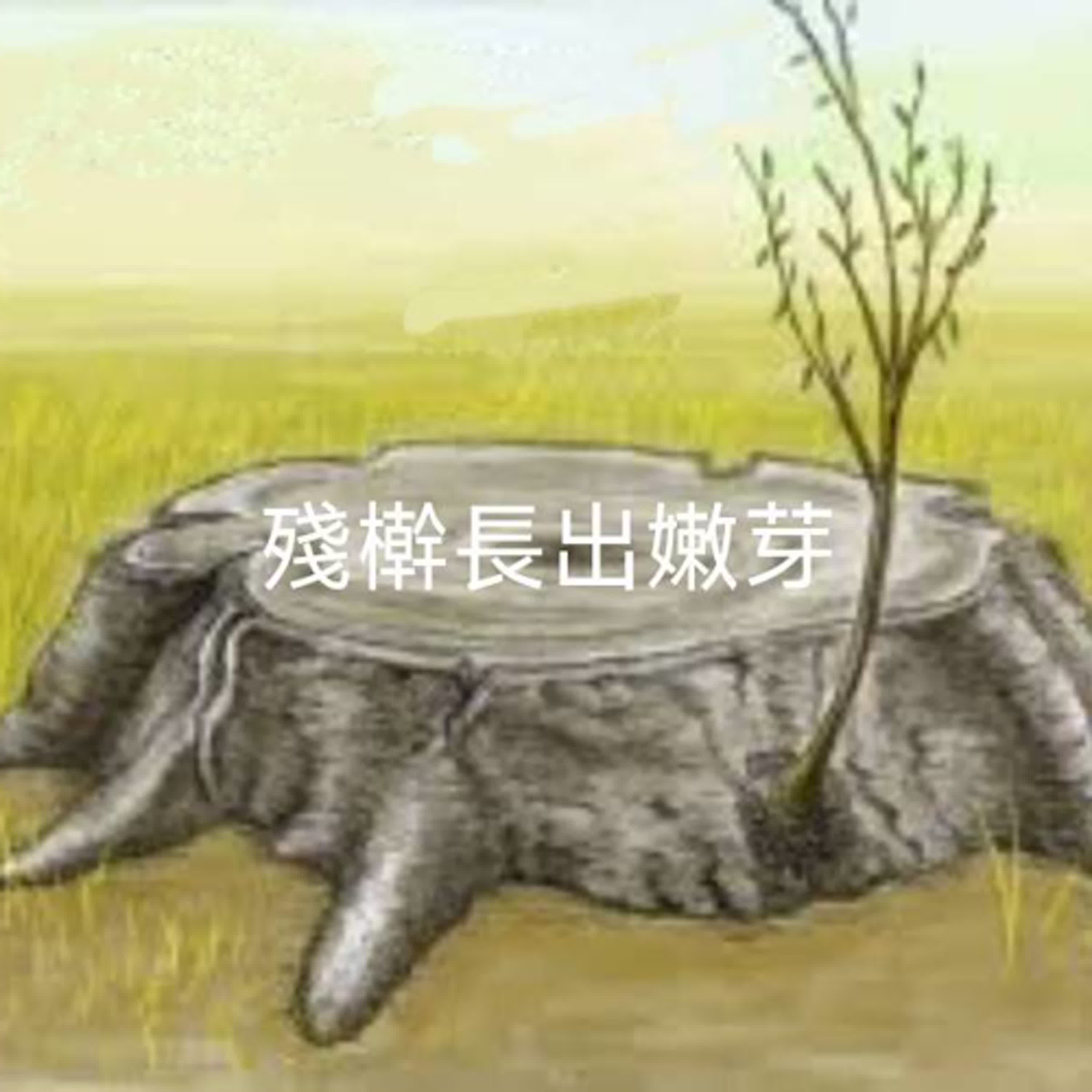 2025-05-25(日)信徒每日讀禱