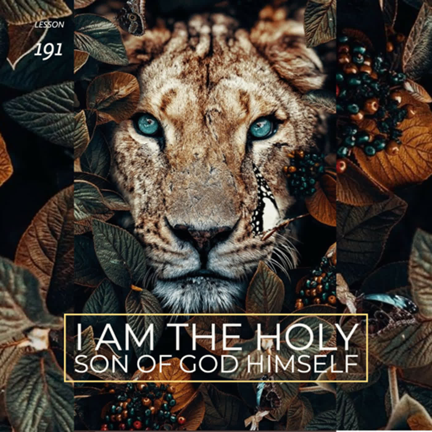 Lesson 191  I am the holy Son of God Himself episode artwork