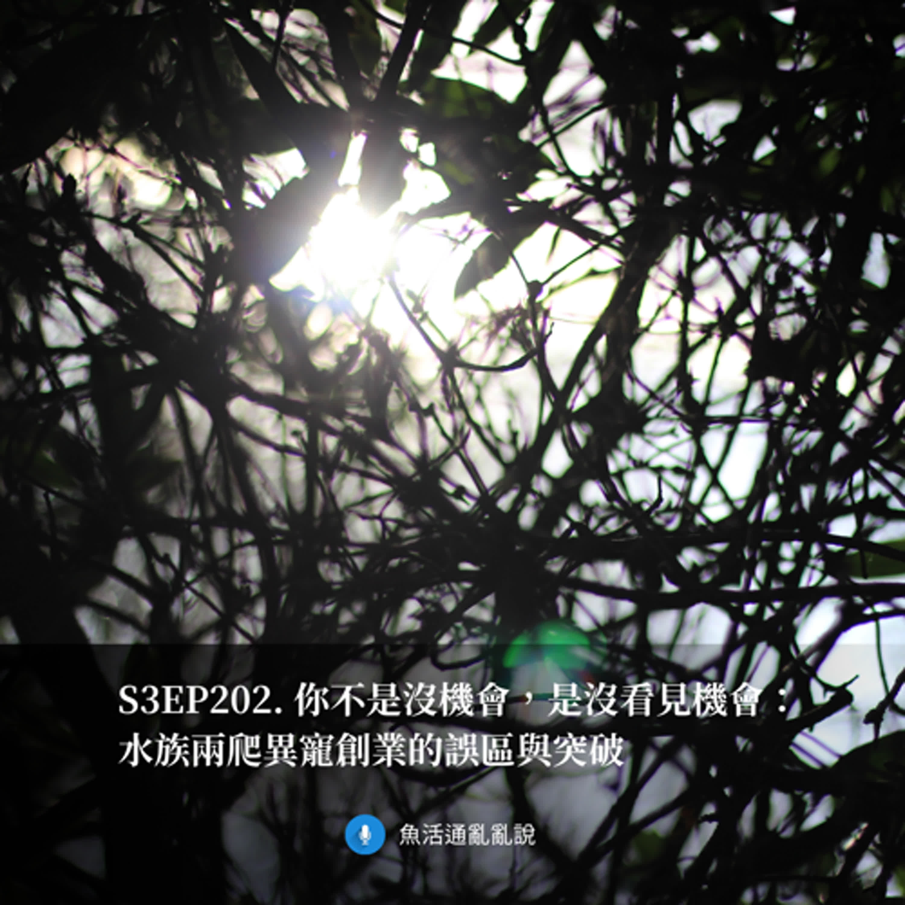 S3EP202. 你不是沒機會，是沒看見機會：水族兩爬異寵創業的誤區與突破