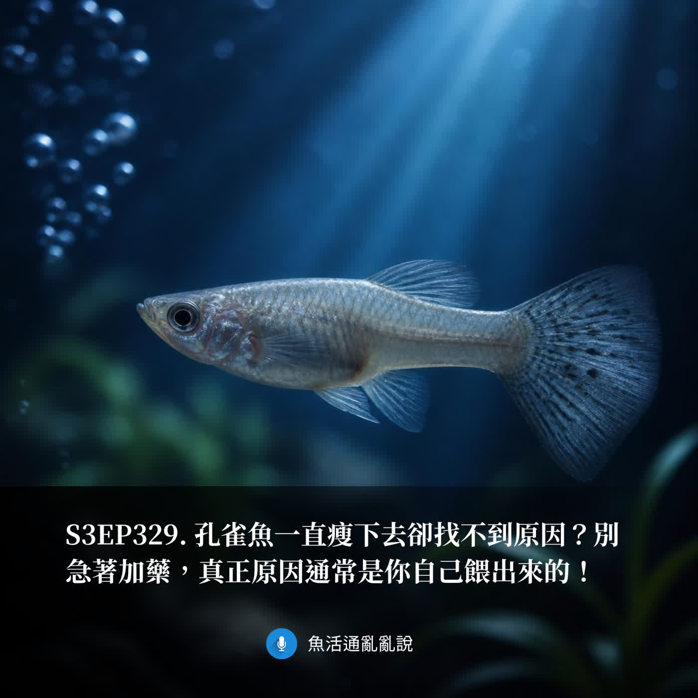 魚活通亂亂說