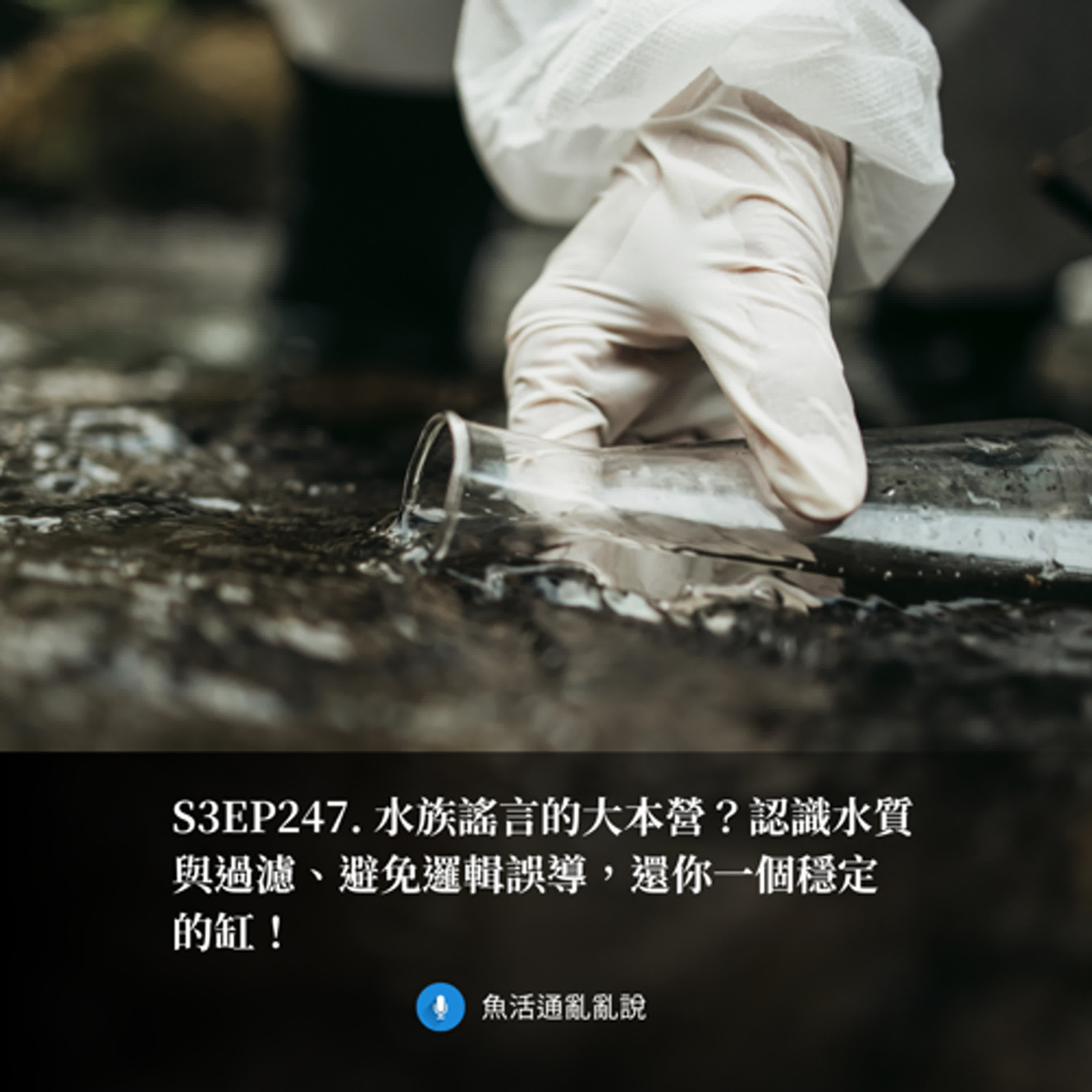 S3EP247. 水族謠言的大本營?認識水質與過濾、避免邏輯誤導,還你一個穩定的缸! S3EP247. 水族謠言的大本營?認識水質與過濾、避免邏輯誤導,還你一個穩定的缸!