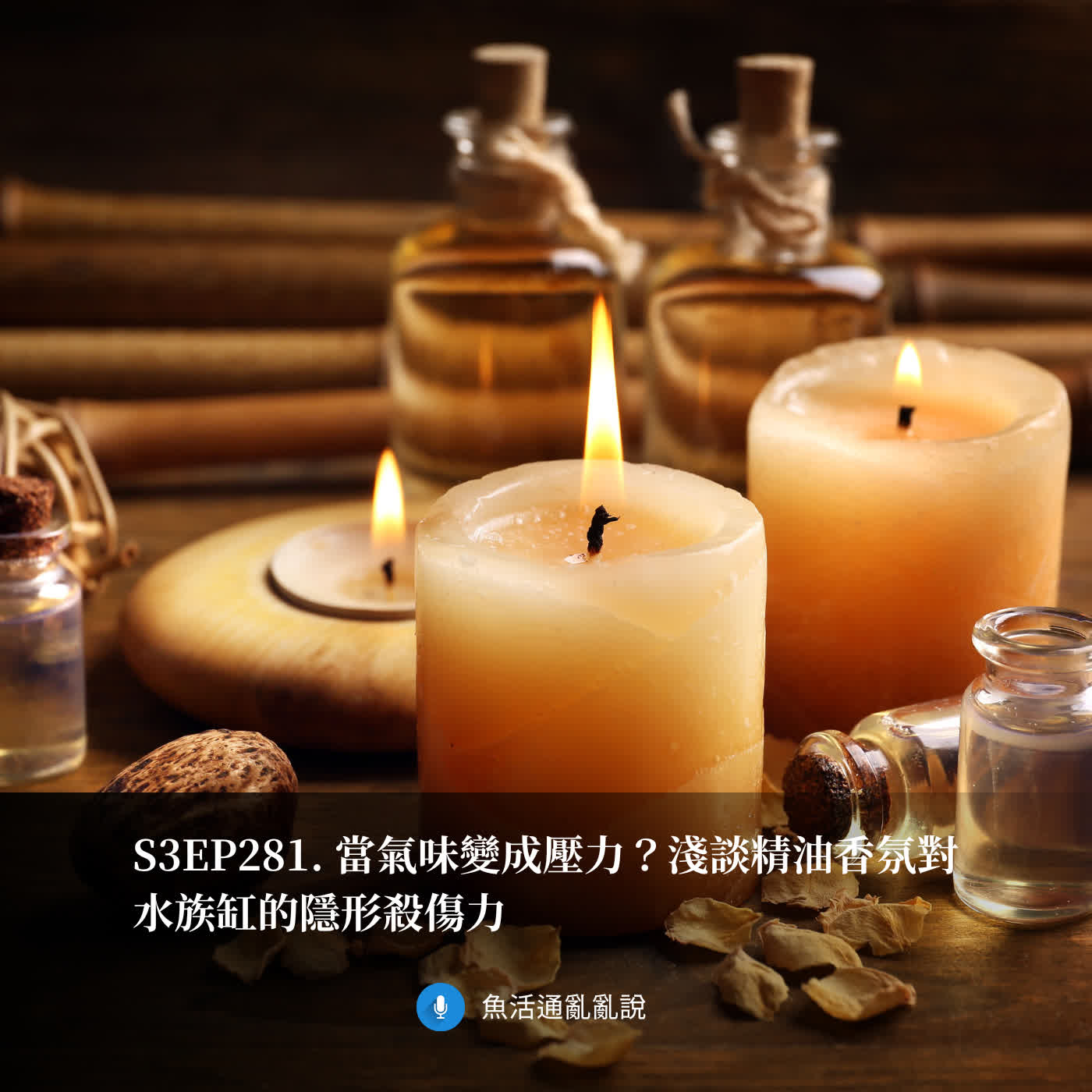 S3EP281. 當氣味變成壓力？淺談精油香氛對水族缸的隱形殺傷力