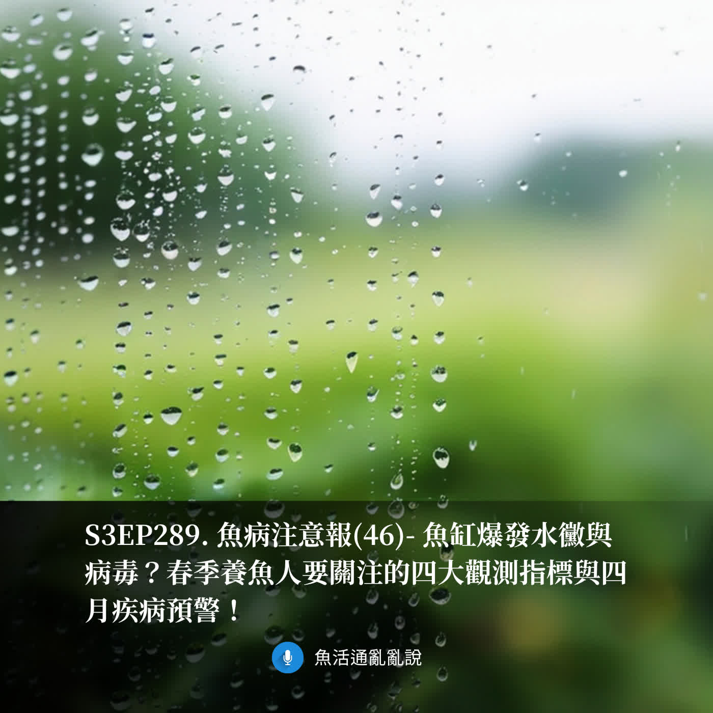 S3EP289. 魚病注意報(46)- 魚缸爆發水黴與病毒？春季養魚人要關注的四大觀測指標與四月疾病預警！