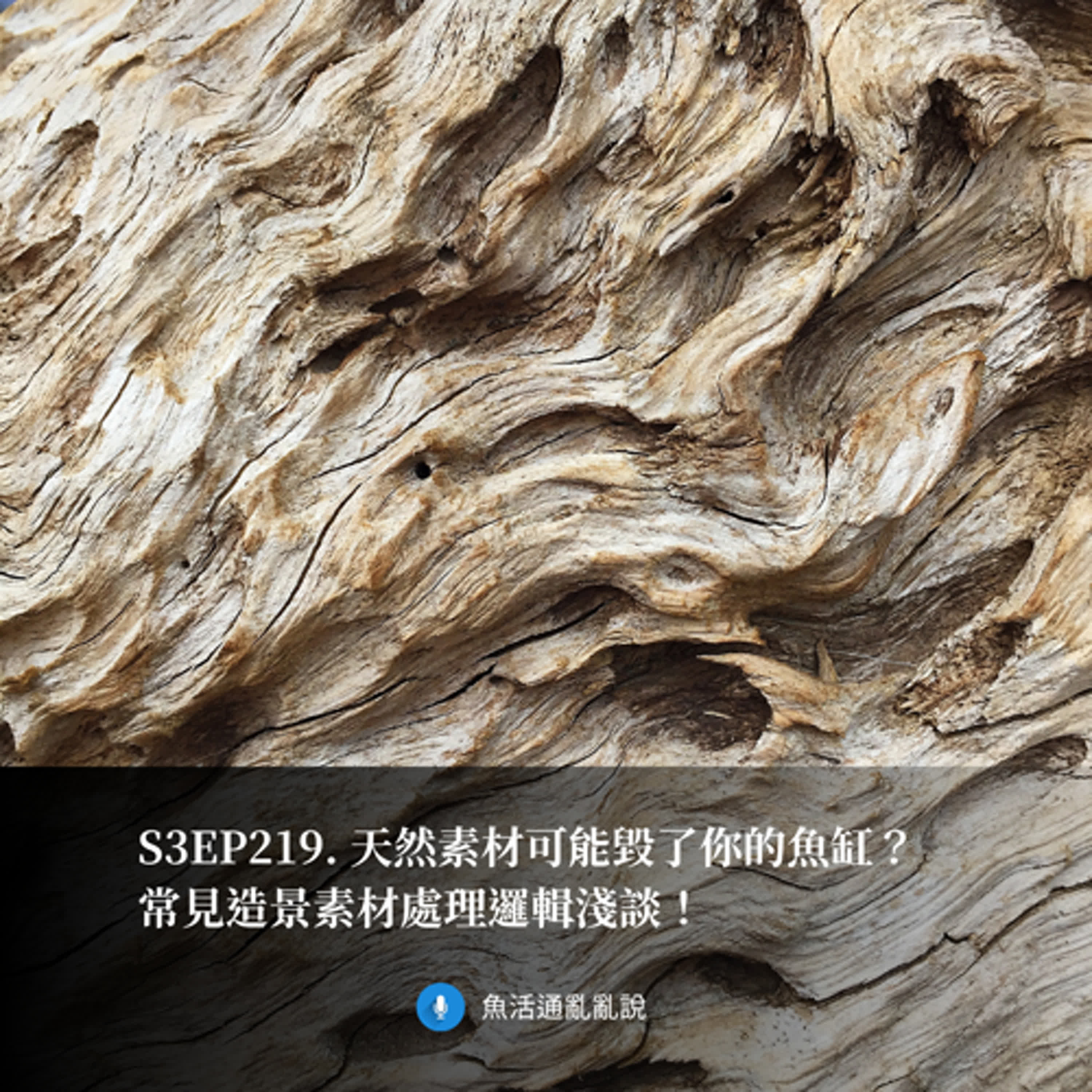S3EP219. 天然素材可能毀了你的魚缸？常見造景素材處理邏輯淺談！