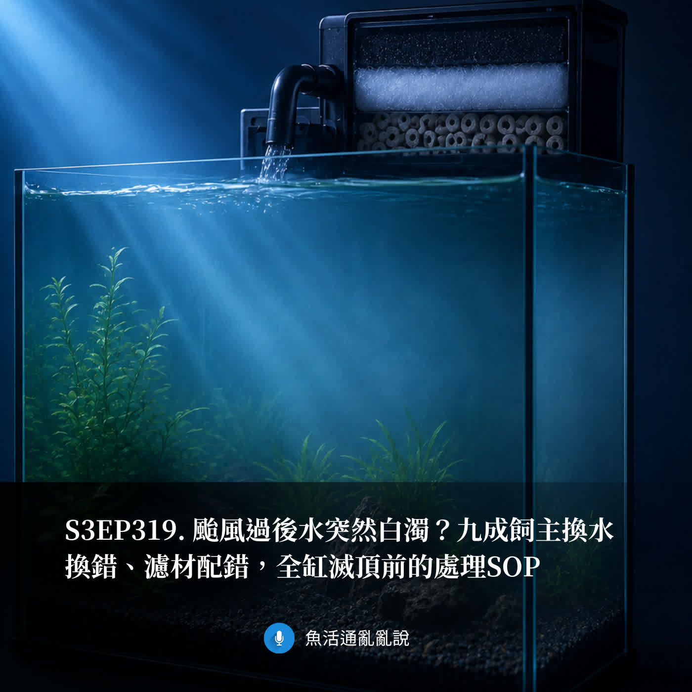S3EP319. 颱風過後水突然白濁？九成飼主換水換錯、濾材配錯，全缸滅頂前的處理SOP episode artwork