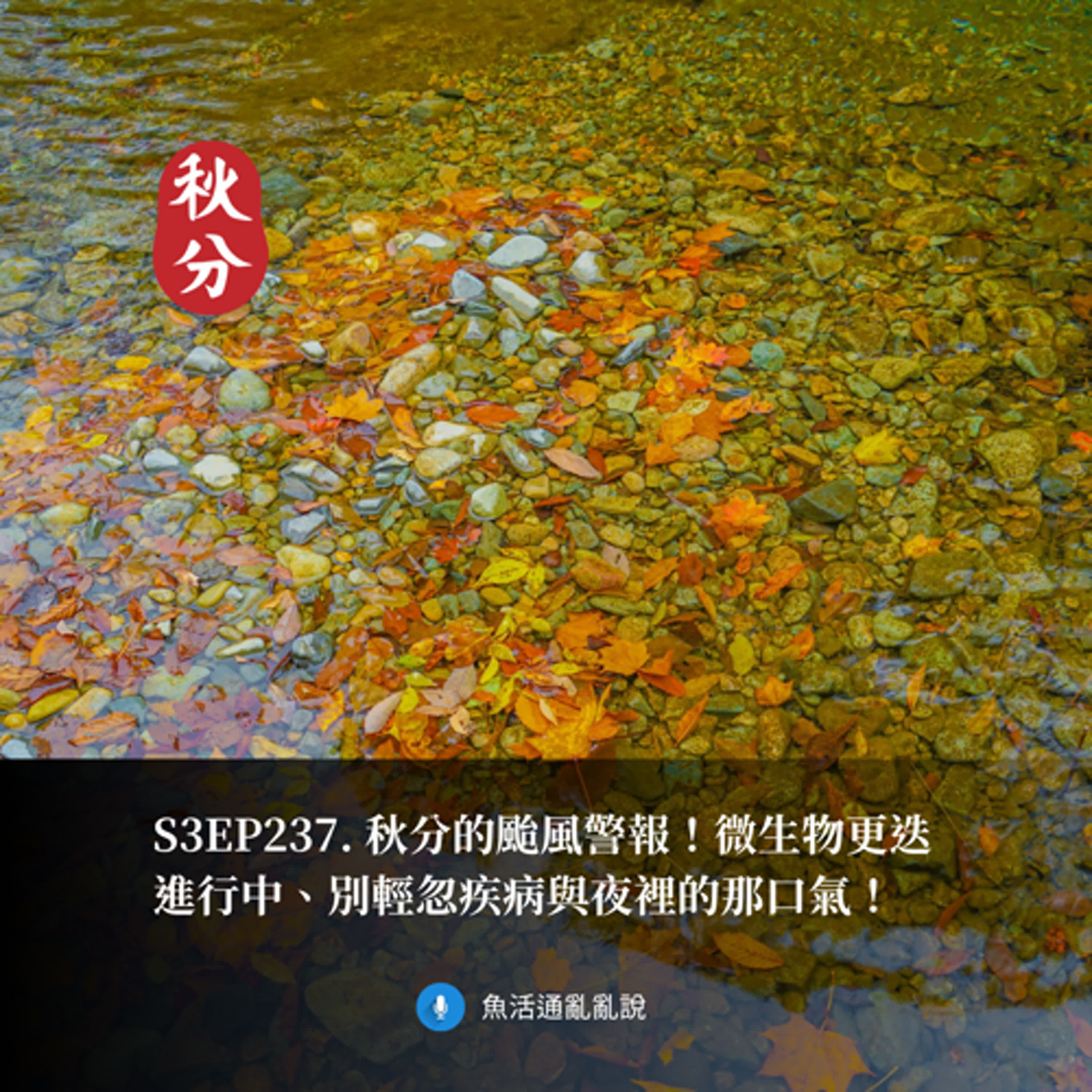 S3EP237. 秋分的颱風警報！微生物更迭進行中、別輕忽疾病與夜裡的那口氣！