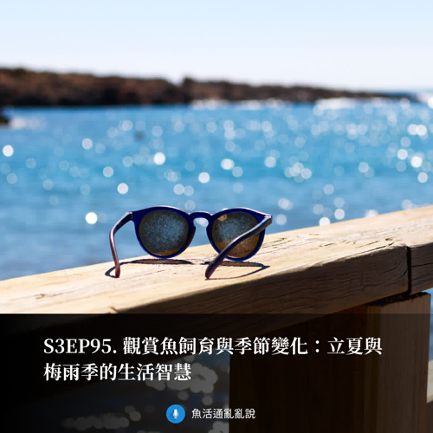 S3EP95. 觀賞魚飼育與季節變化：立夏與梅雨季的生活智慧