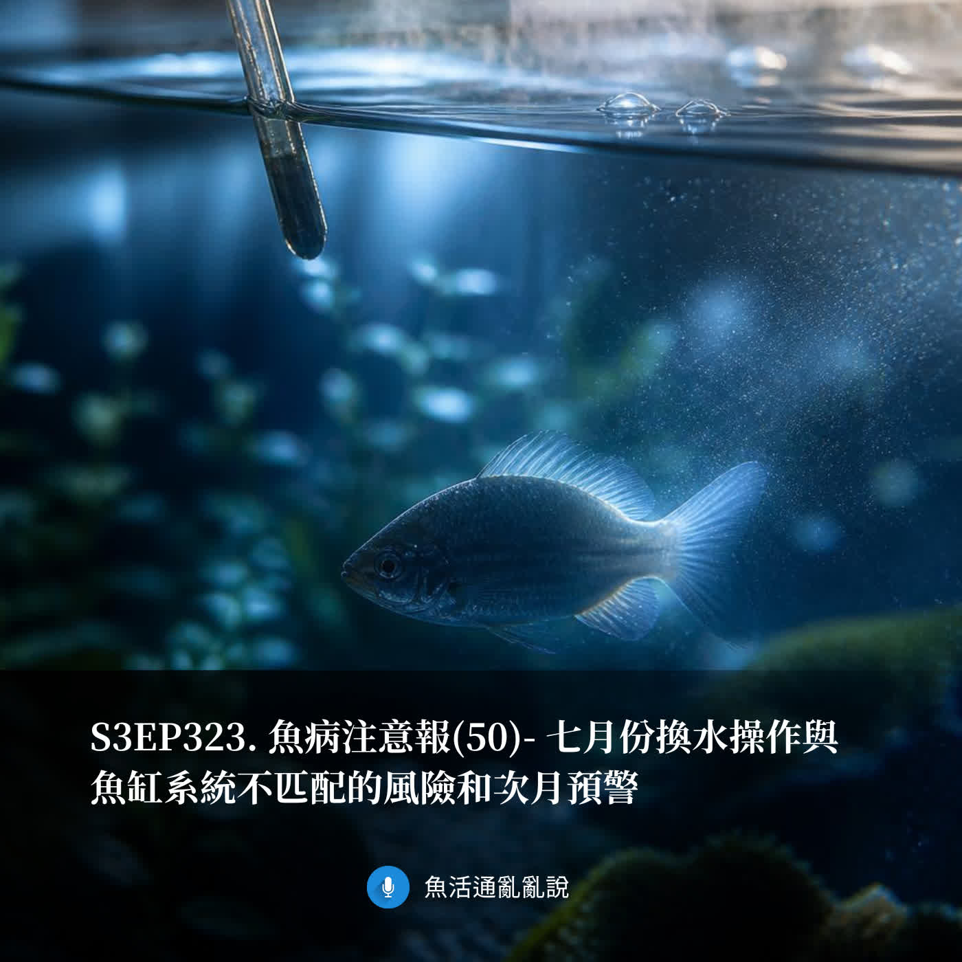 S3EP323. 魚病注意報(50)- 七月份換水操作與魚缸系統不匹配的風險和次月預警 episode artwork