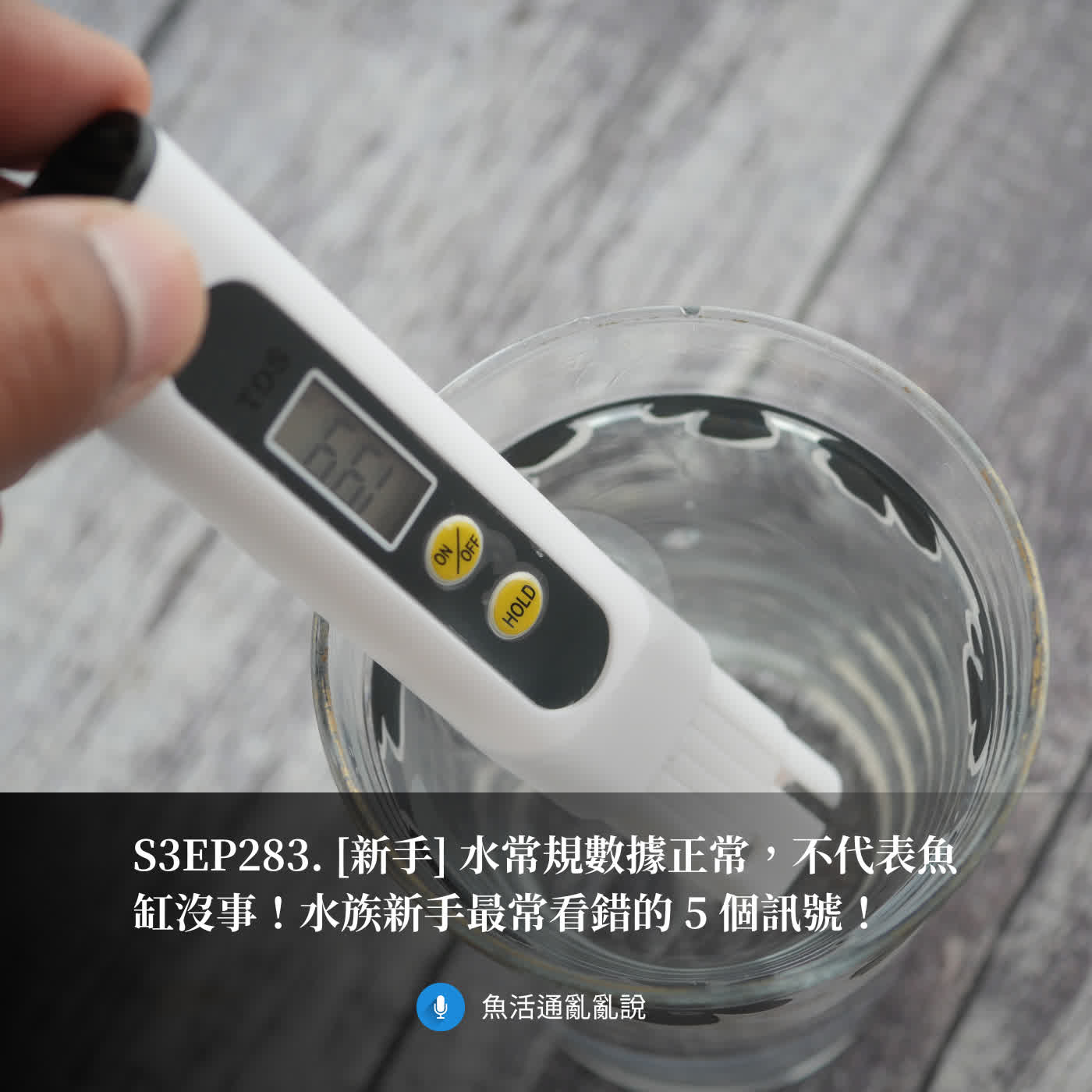 S3EP283. [新手] 水常規數據正常，不代表魚缸沒事！水族新手最常看錯的 5 個訊號！