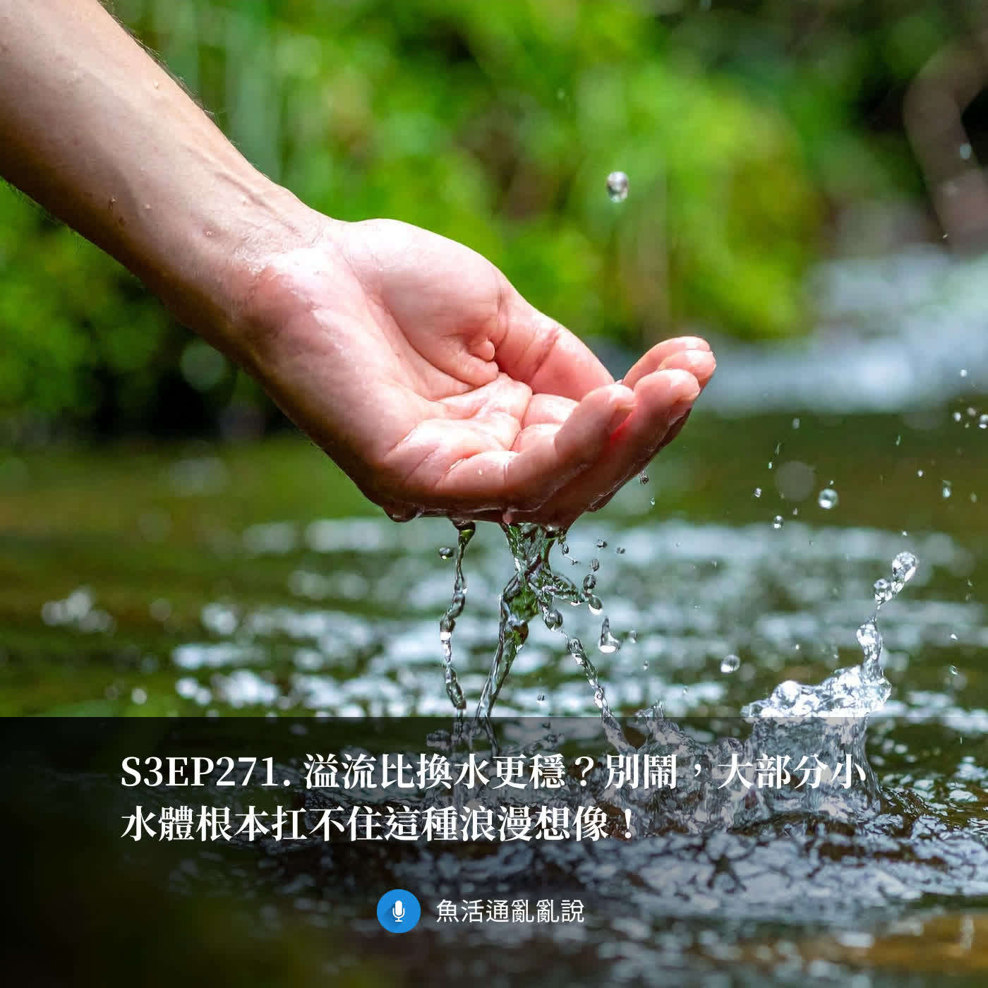 S3EP271. 溢流比換水更穩？別鬧，大部分小水體根本扛不住這種浪漫想像！