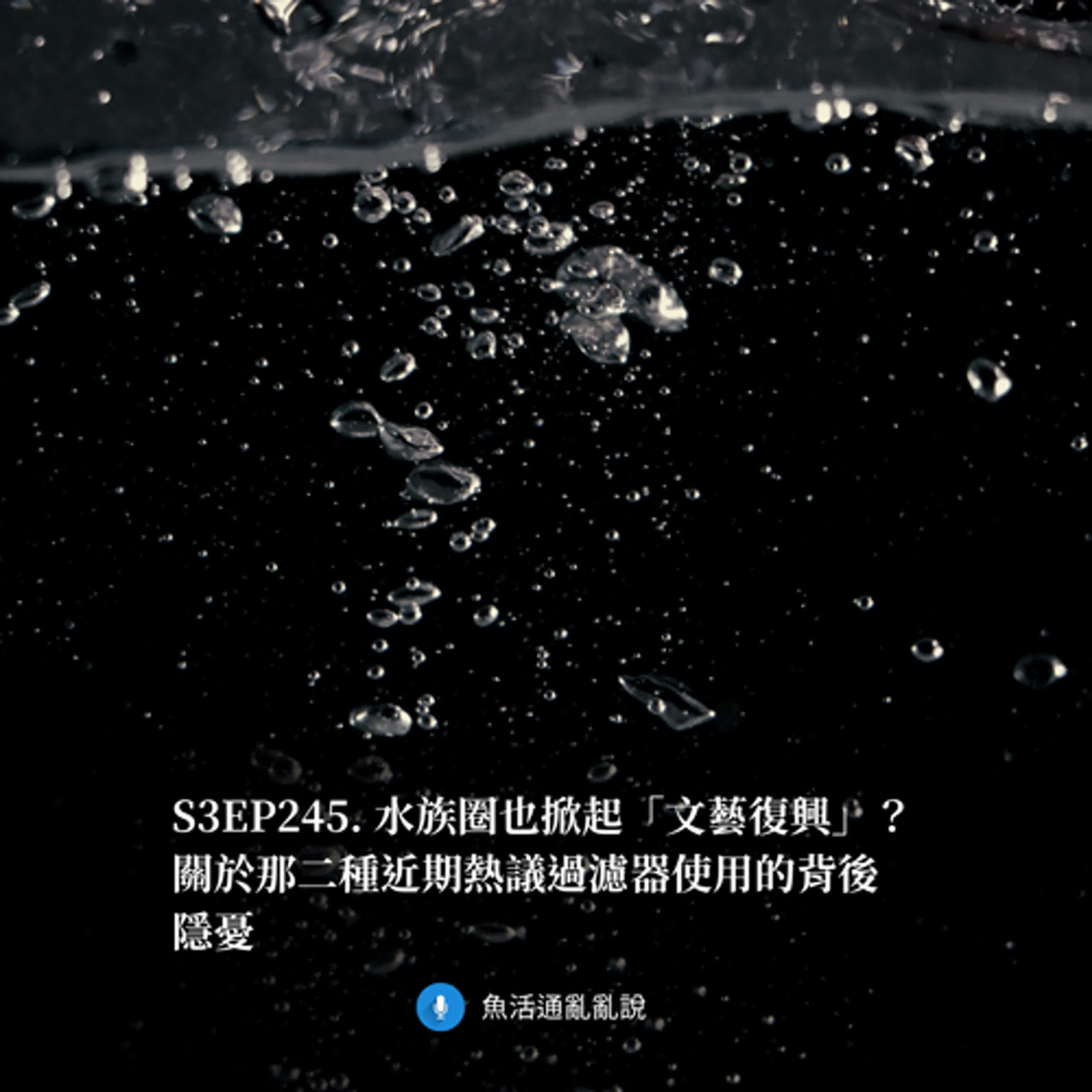 S3EP245. 水族圈也掀起「文藝復興」？關於那二種近期熱議過濾器使用的背後隱憂