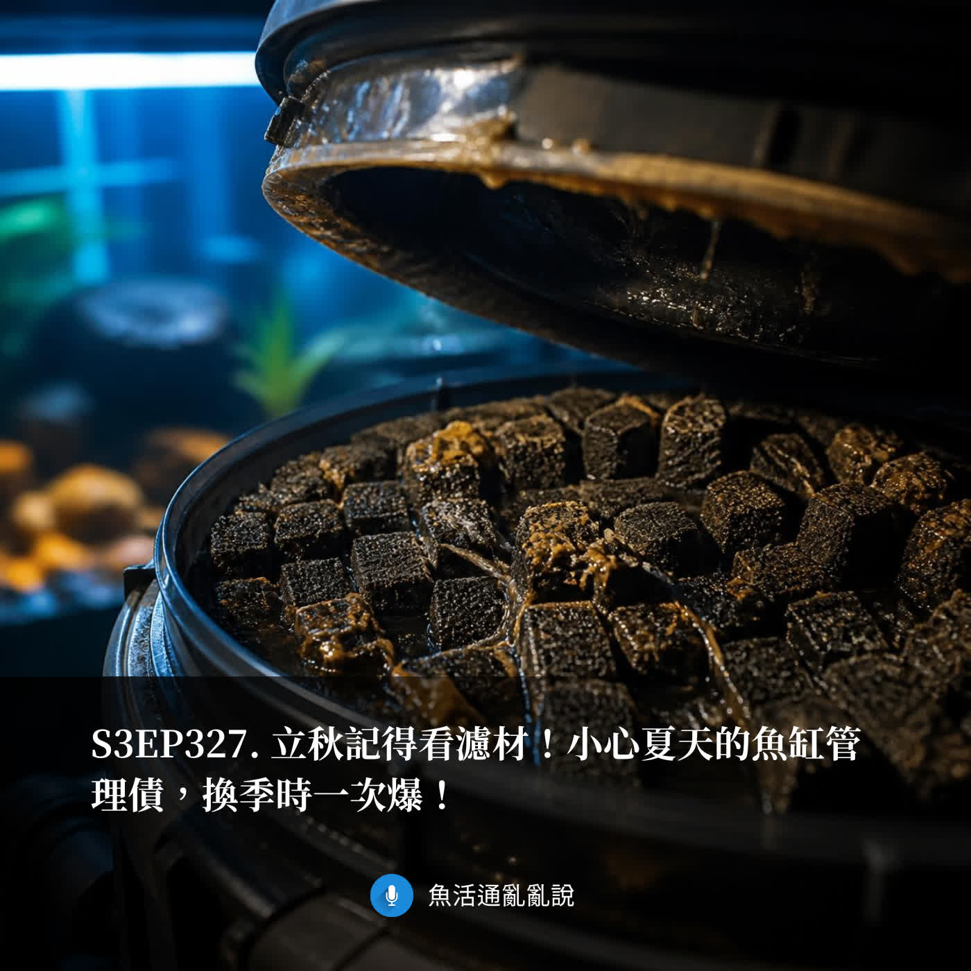 S3EP327. 立秋記得看濾材！小心夏天的魚缸管理債，換季時一次爆！ episode artwork