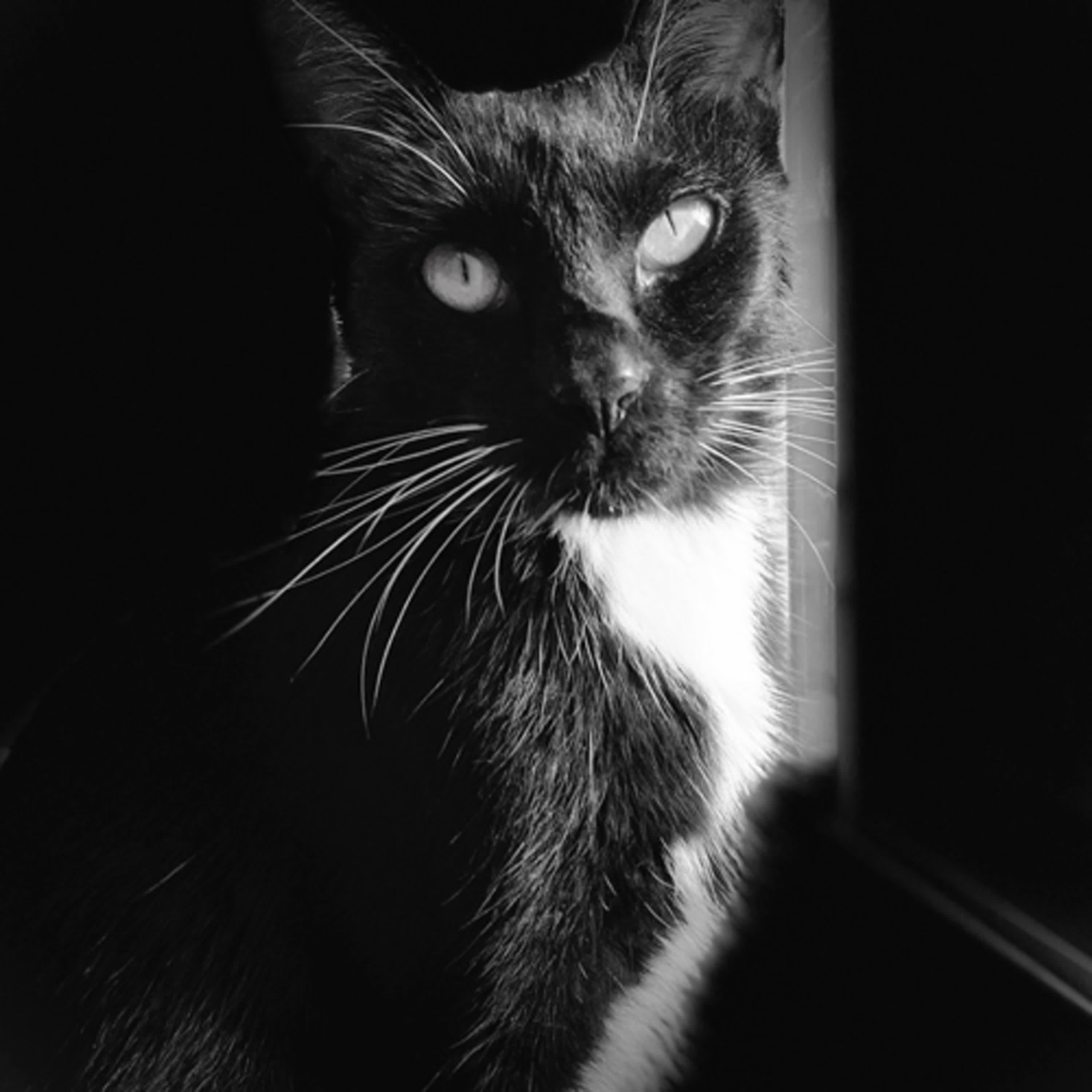 S4Ep26.通靈辦事終於開綠燈了 S4Ep26.通靈辦事終於開綠燈了