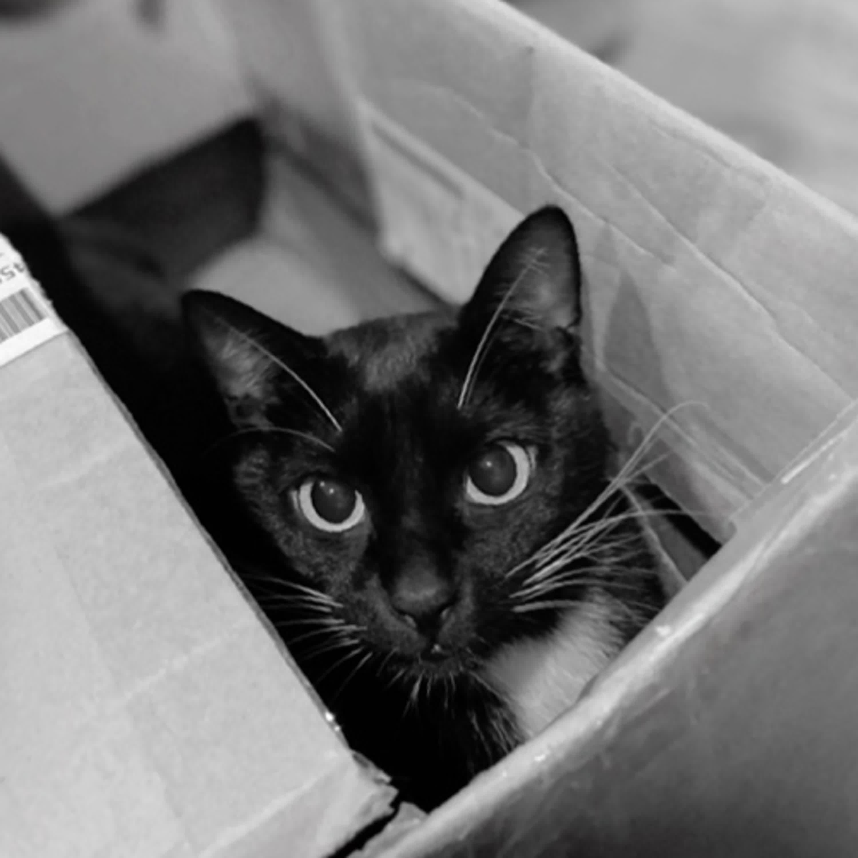 S4Ep27.別讓正緣迷思侷限自己