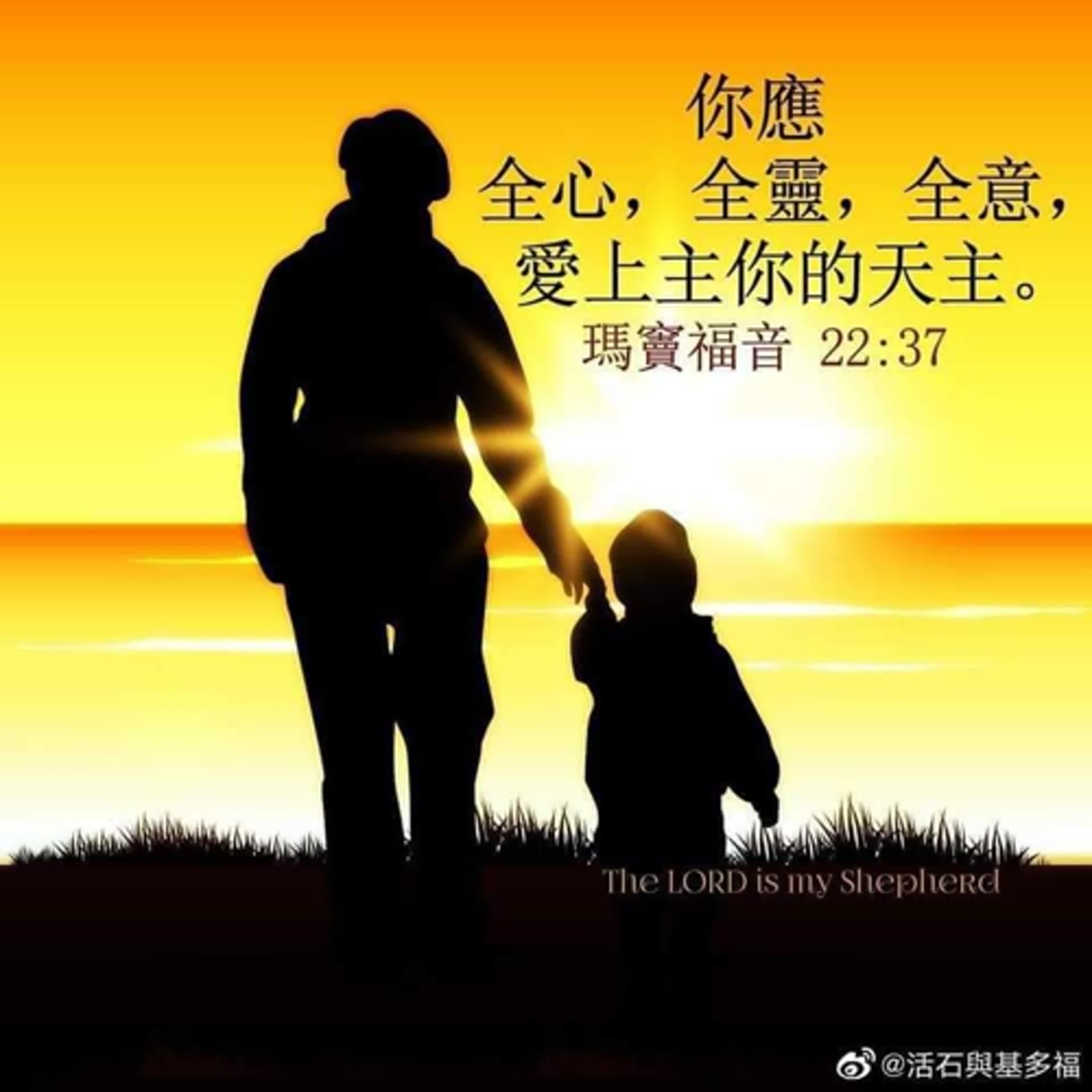 EP335多明我的家—談聖召