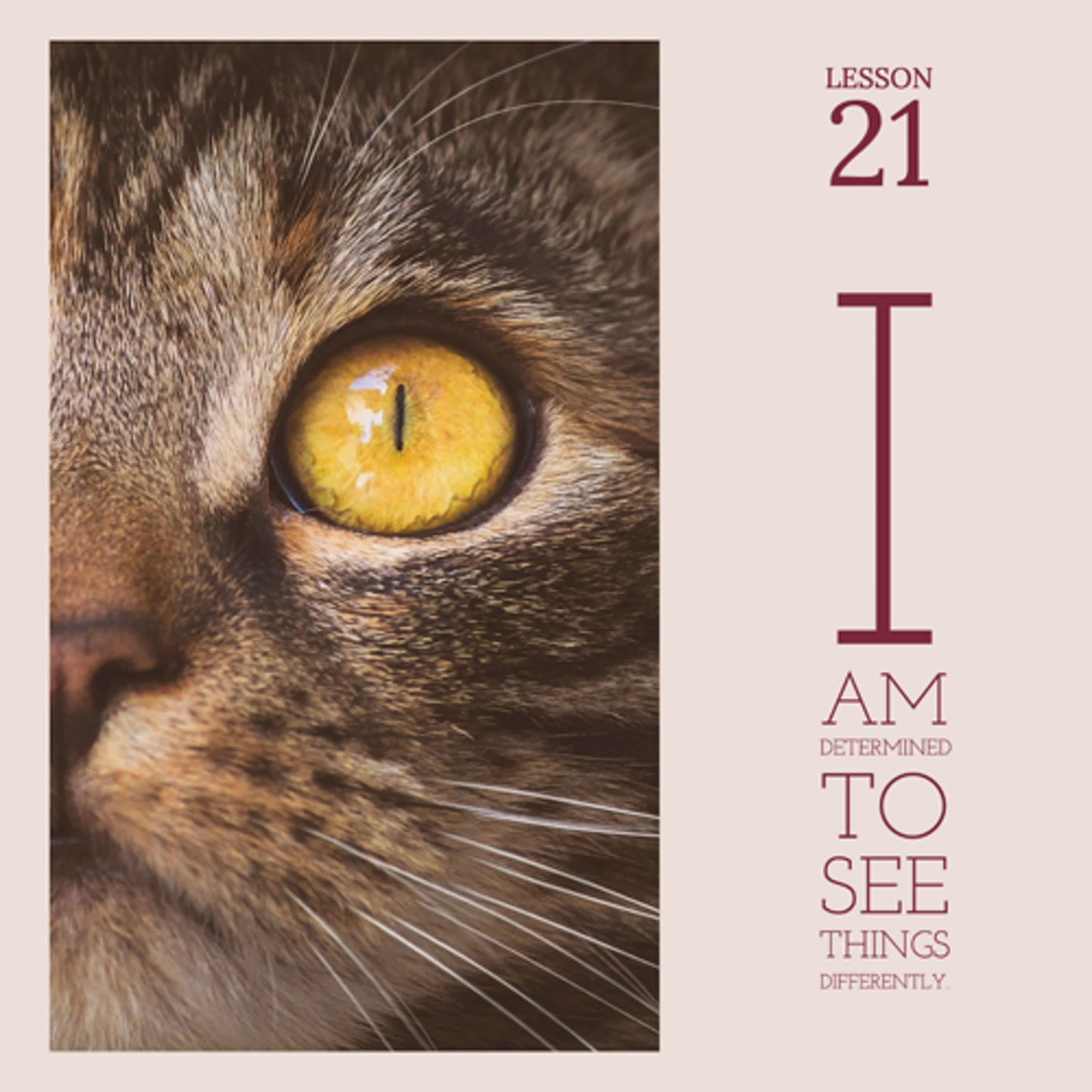 ACIM#21 I am determined to see things differently episode artwork