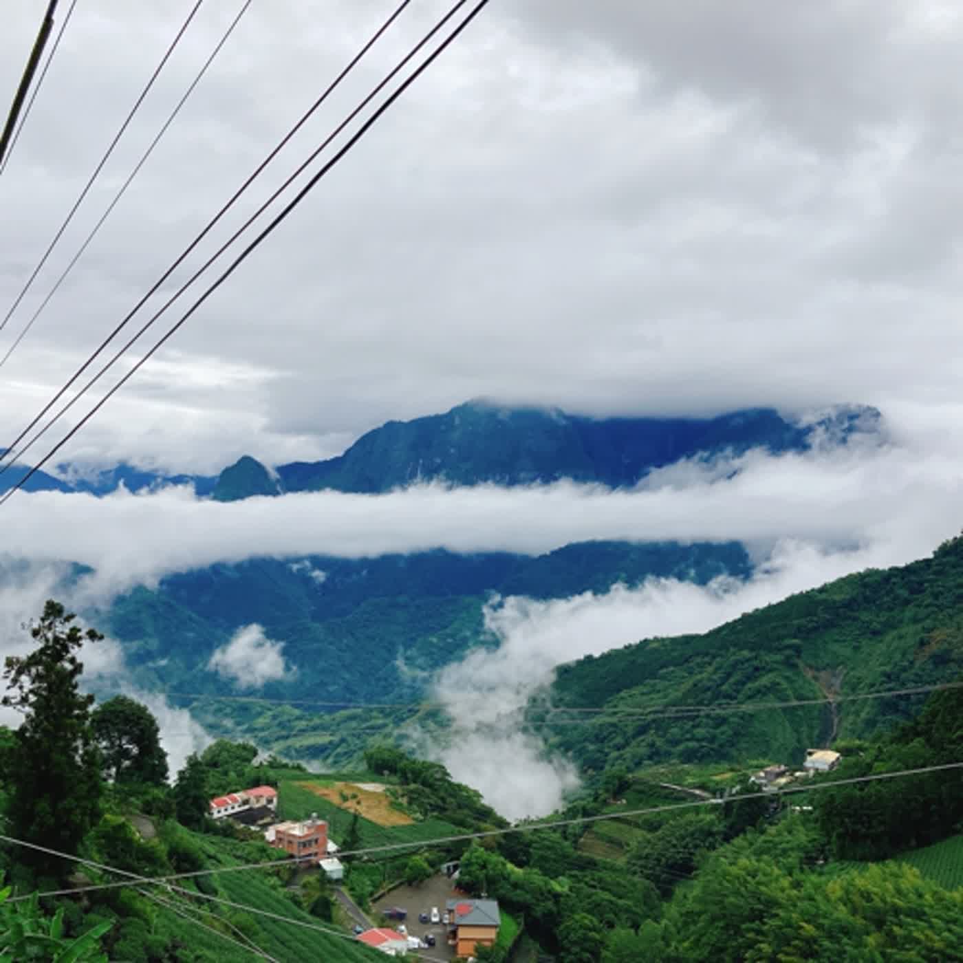 105-颱風天的阿里山雲霧瑜珈體驗（aka一人跟團分享）