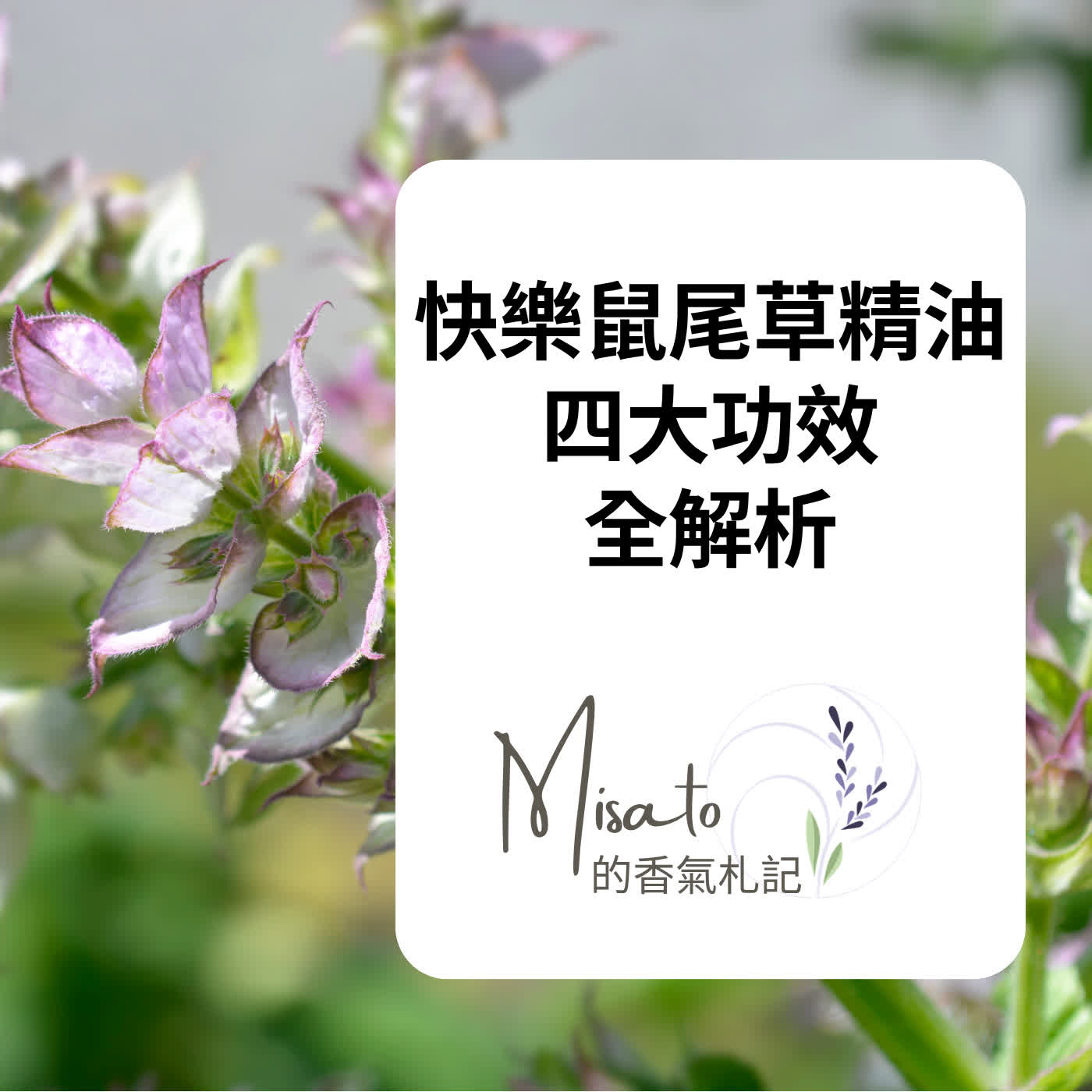 Ep238. 快樂鼠尾草精油4大功效全解析 ～ 真是支體貼女孩們的調理精油呀！ episode artwork
