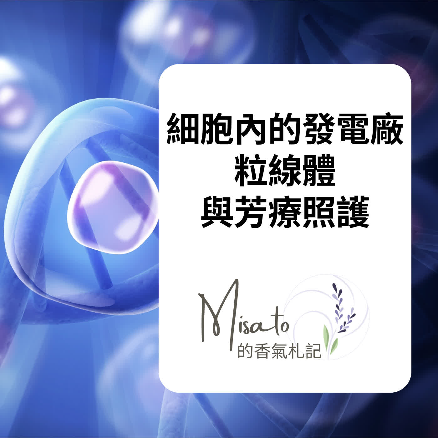 Ep234. 說不出來的疲倦，是細胞裡的發電廠沒電了！芳療可以為粒線體充飽電唷～ episode artwork