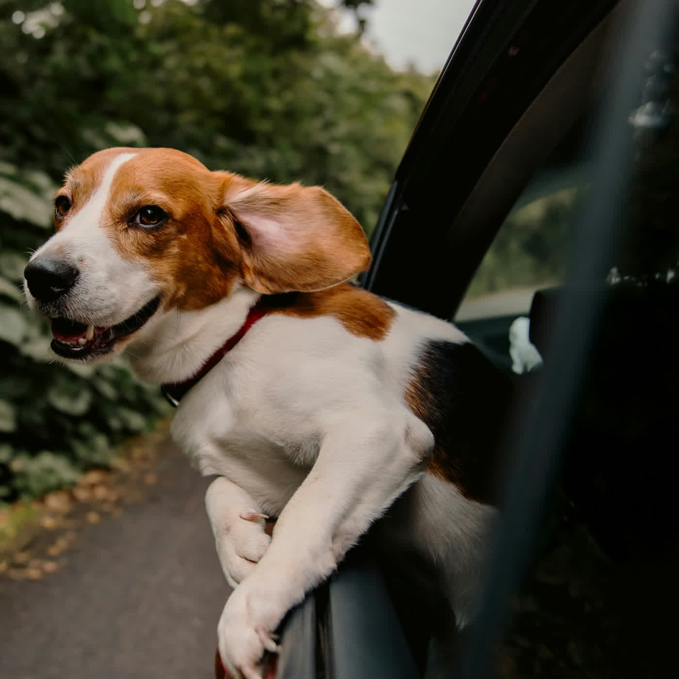 EP.273 2026旅遊大趨勢TOP 10∥→每次出遊都要是一生難忘回憶