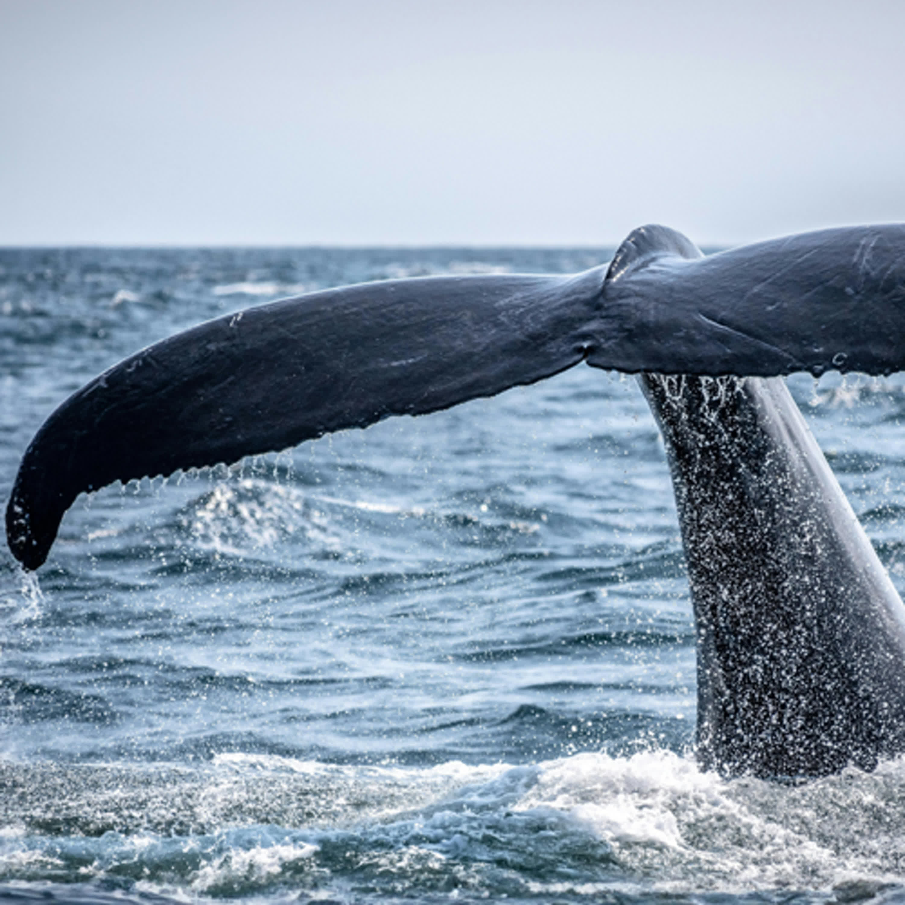 EP.260 國際媒體一致推薦→2026年必去這裡｜一次講完50大最佳旅遊體驗
