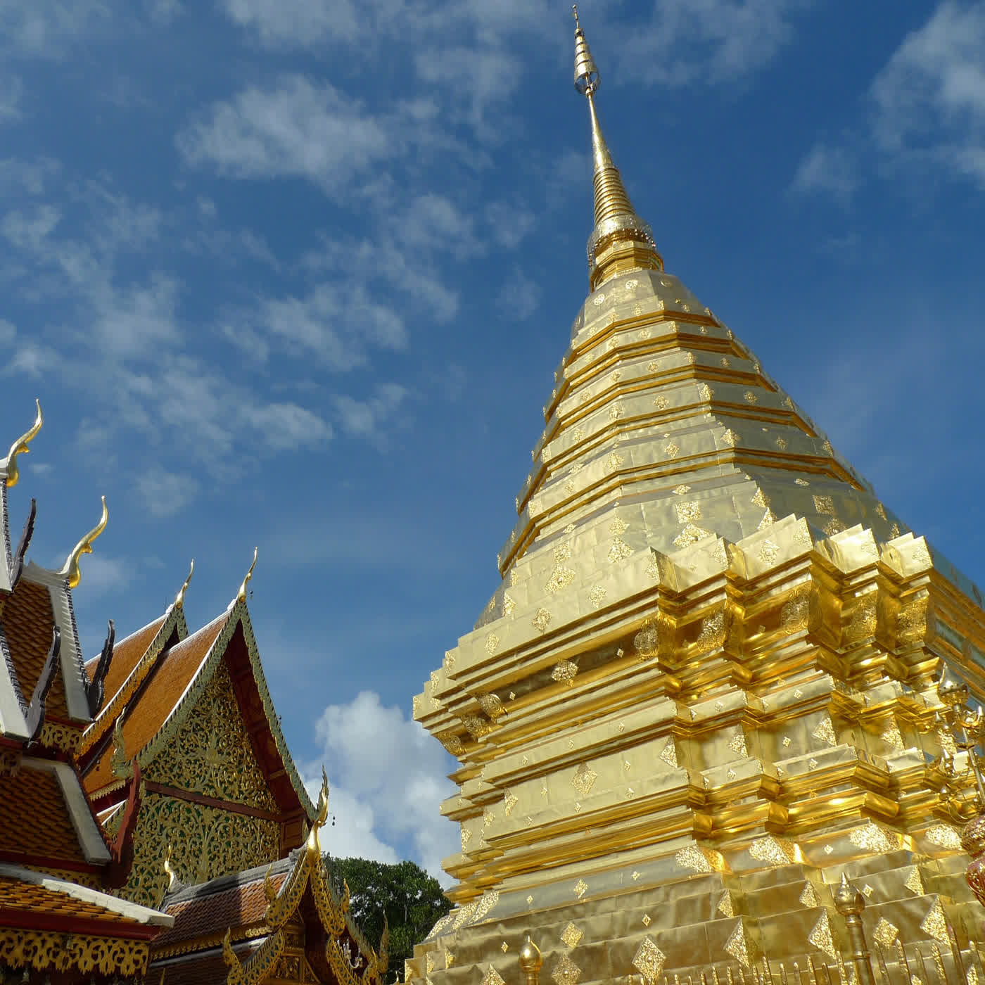 EP.272 新年求好運㊣跟著泰北人拜十二生肖佛塔